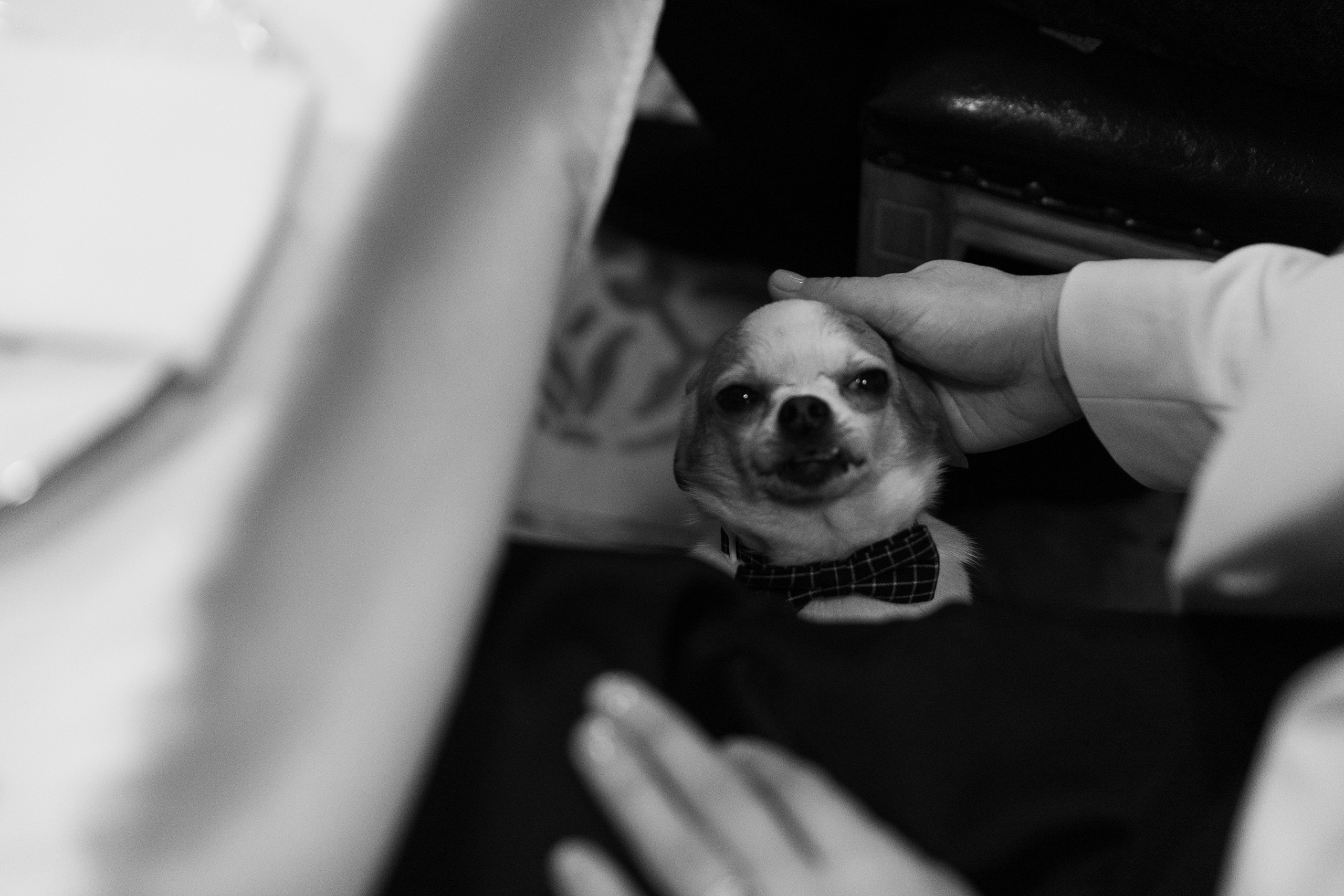 Все идет по плану или «неЛетов». Свадебный фотограф в Санкт-Петербурге