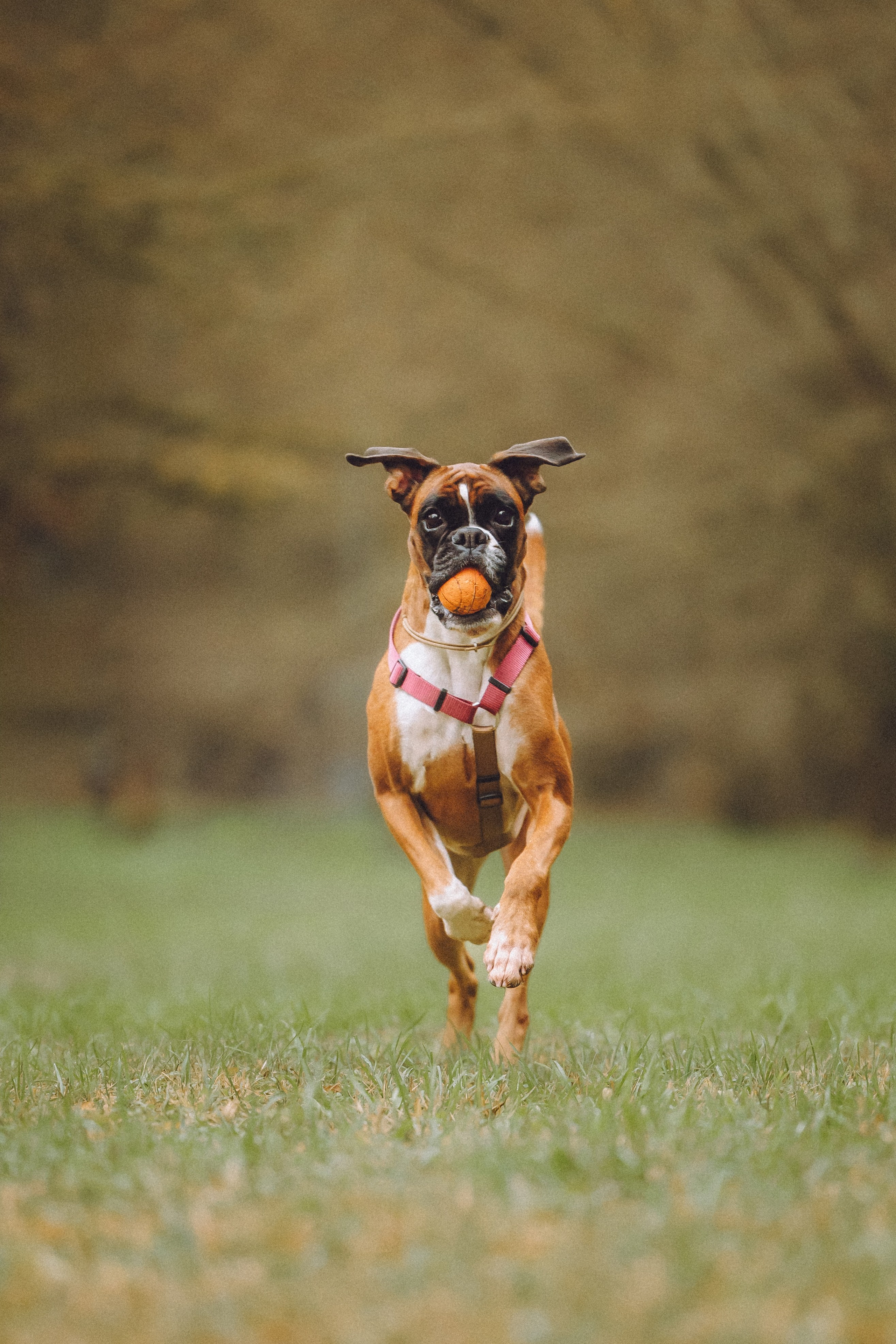 Элли и ее семья