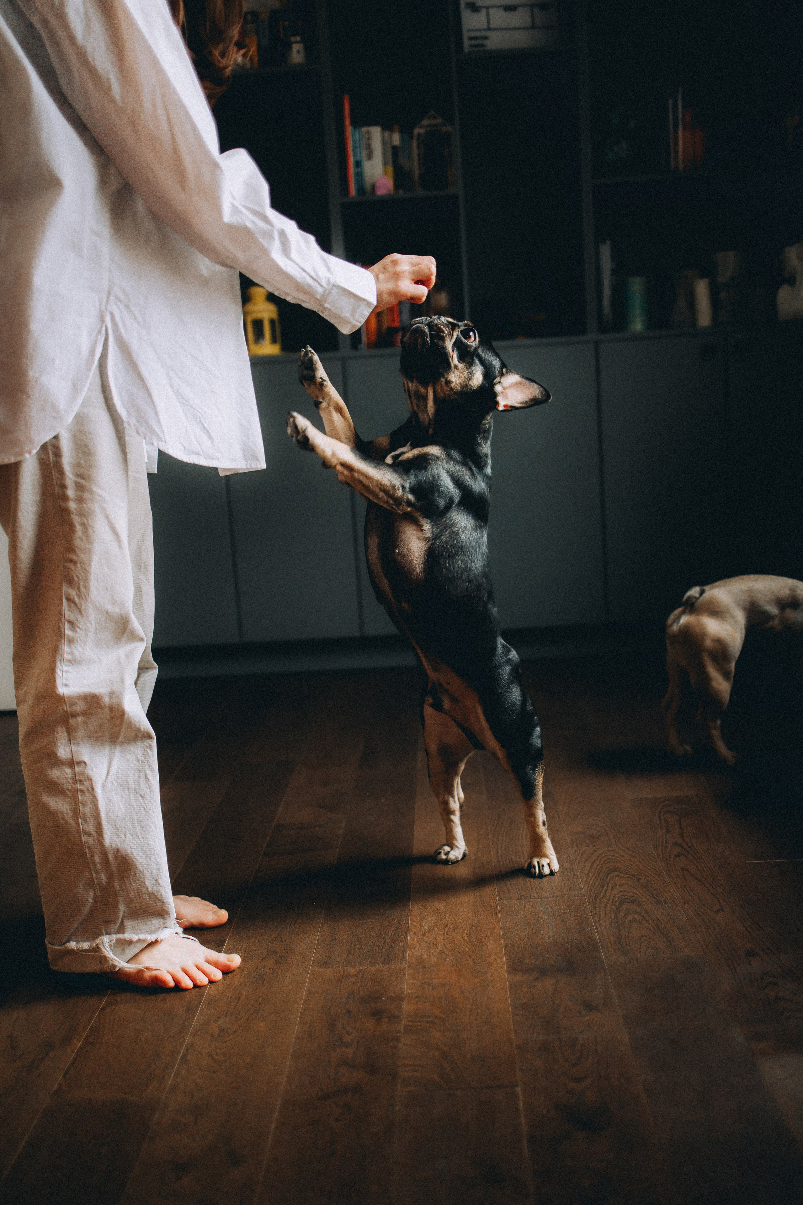 Юля, Мия и Зек