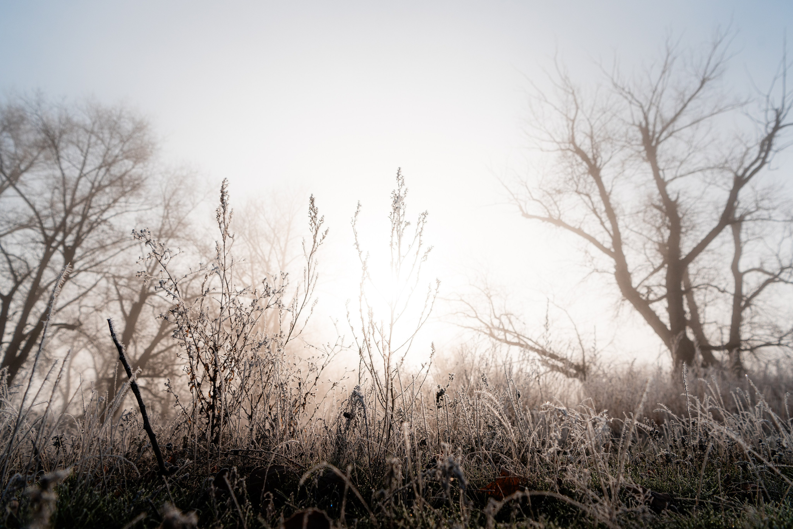Фотографии утреннего тумана под Волжским. Фотограф в Волгограде и Волжском Александр Горбань