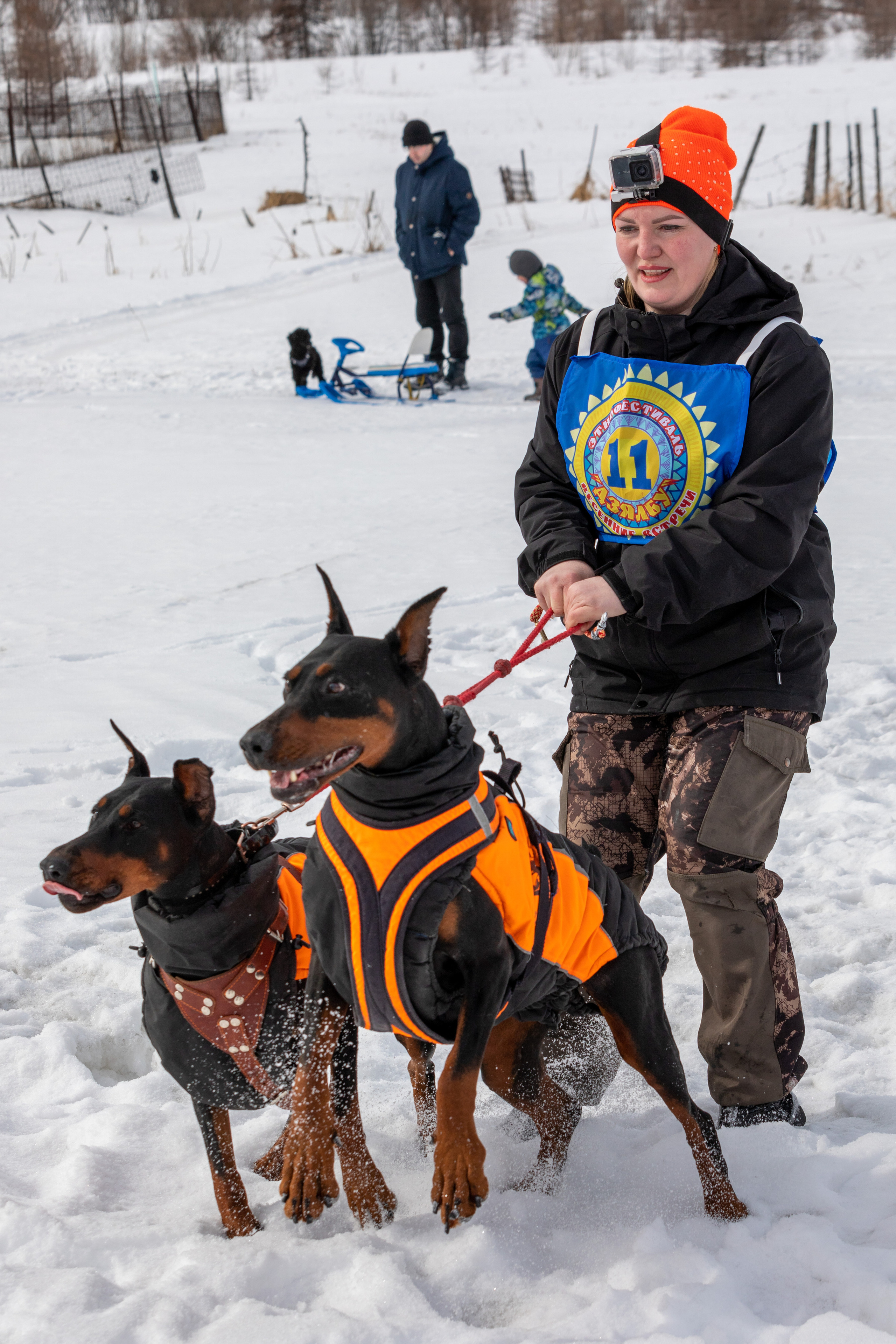 Скиджоринг с собакой — молодой и набирающий популярность зимний вид спорта. Фотограф  Санкт-Петербург / Сертолово