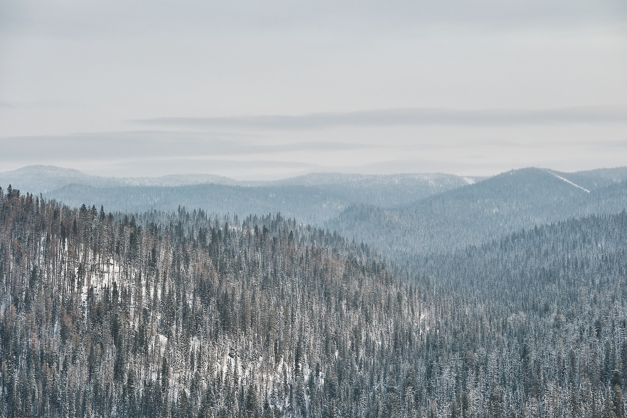 Фотосъемка соревнований по лыжному фристайлу