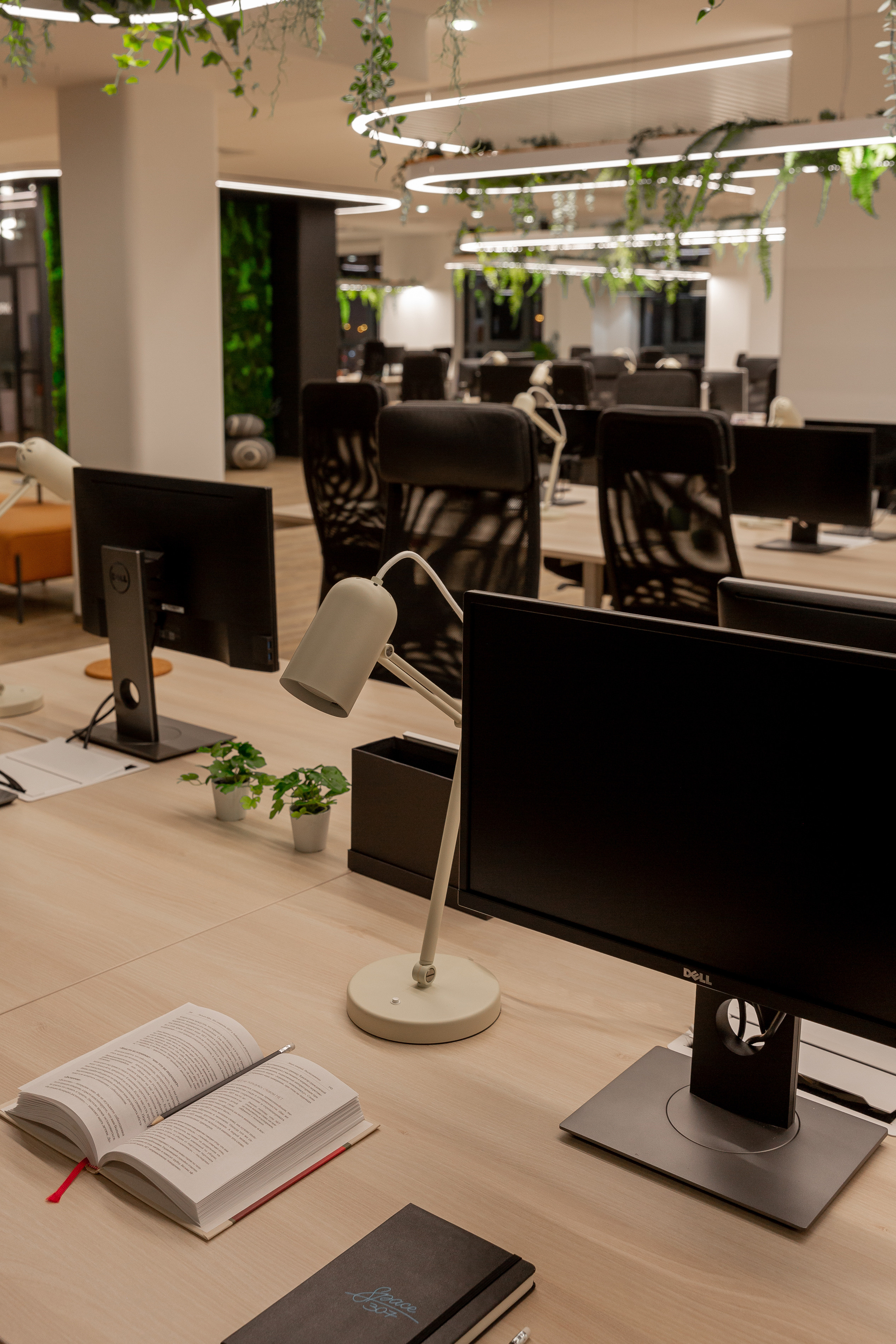 Офис. Фотограф Виктория Дунаевская в Санкт Петербурге