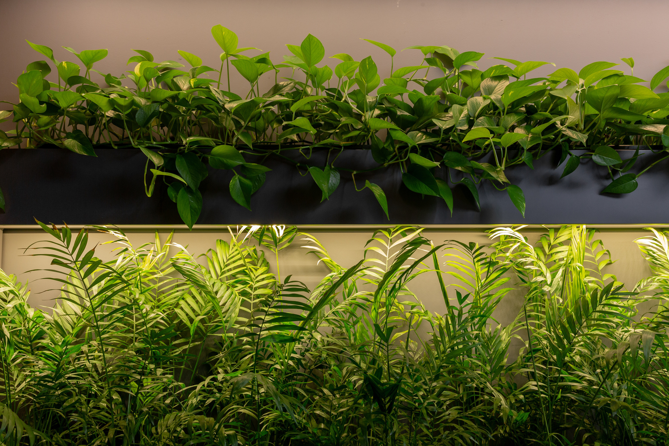 Офис. Фотограф Виктория Дунаевская в Санкт Петербурге