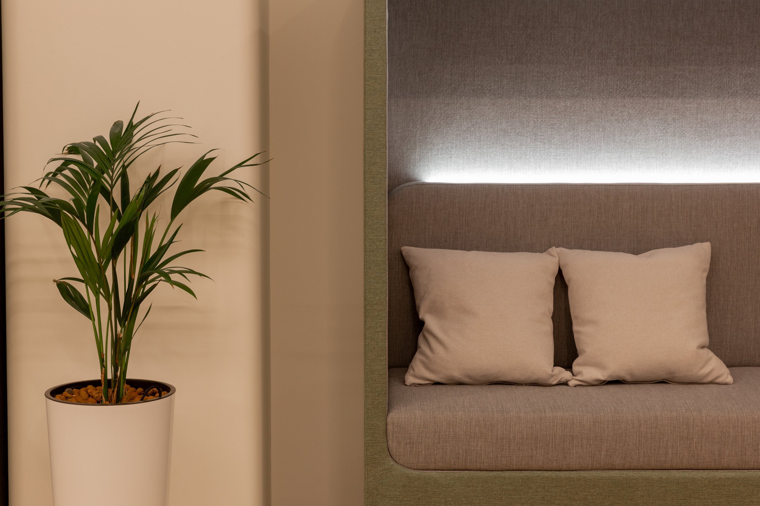 Офис. Фотограф Виктория Дунаевская в Санкт Петербурге