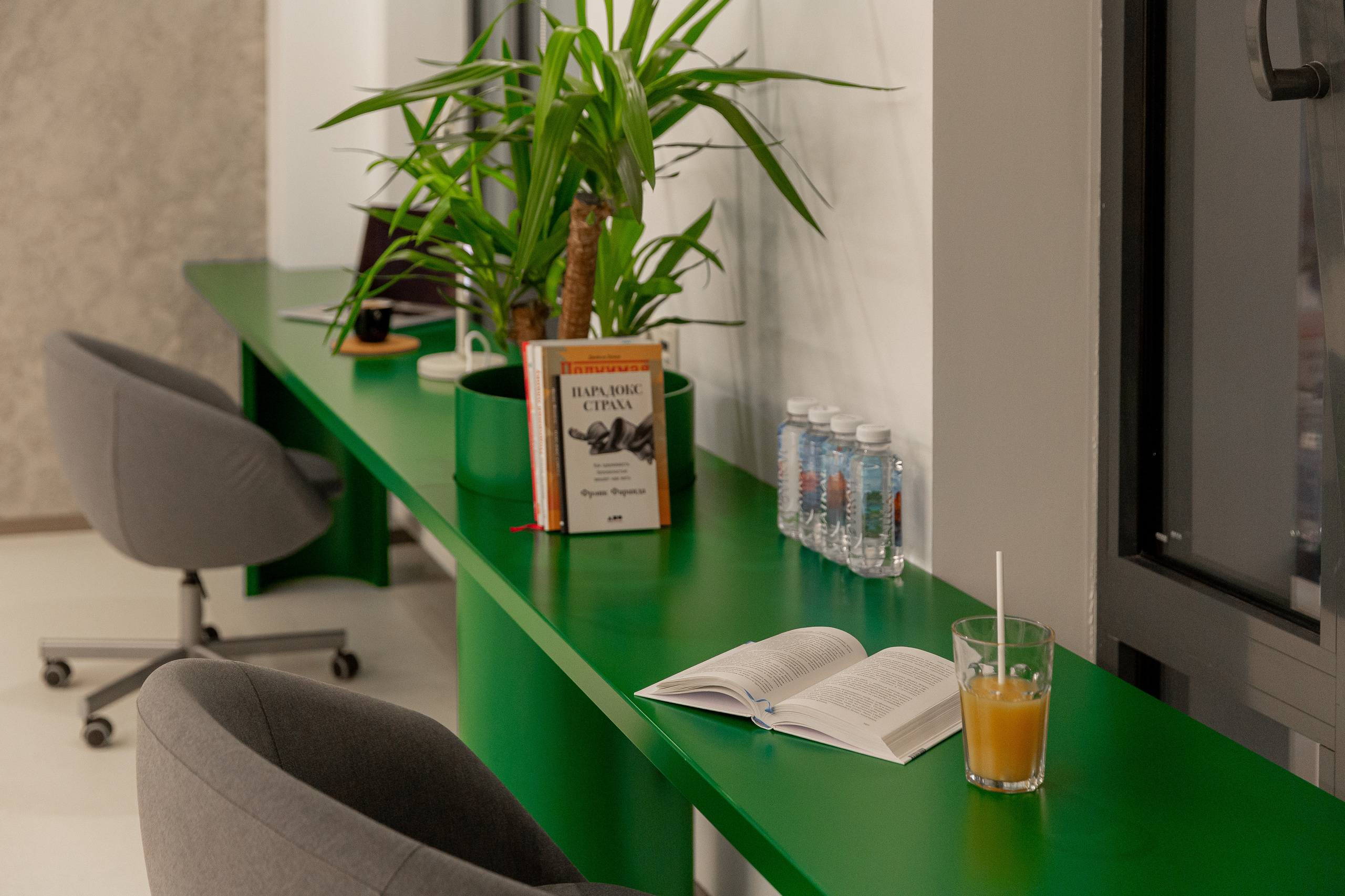 Офис. Фотограф Виктория Дунаевская в Санкт Петербурге