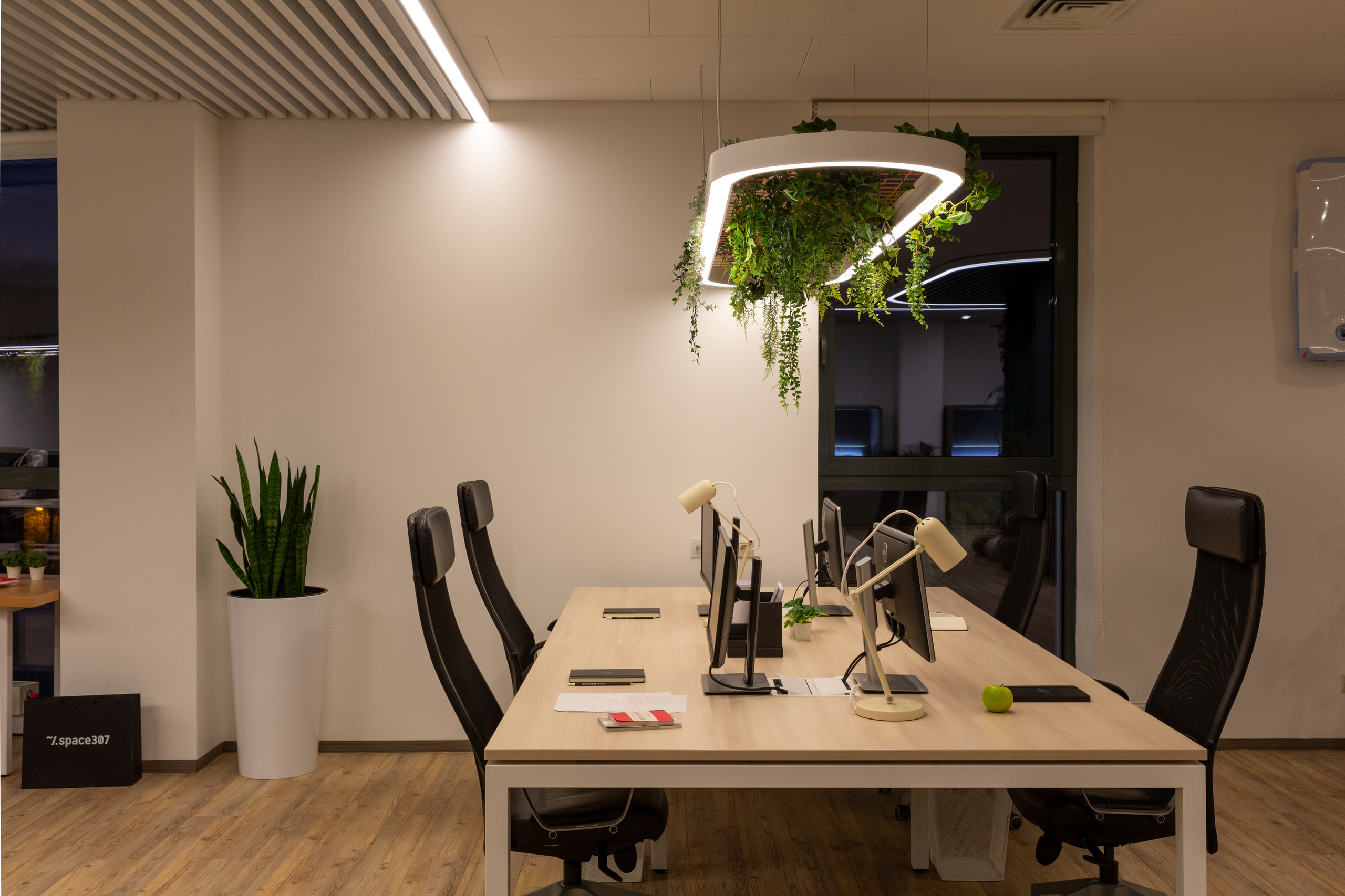 Офис. Фотограф Виктория Дунаевская в Санкт Петербурге