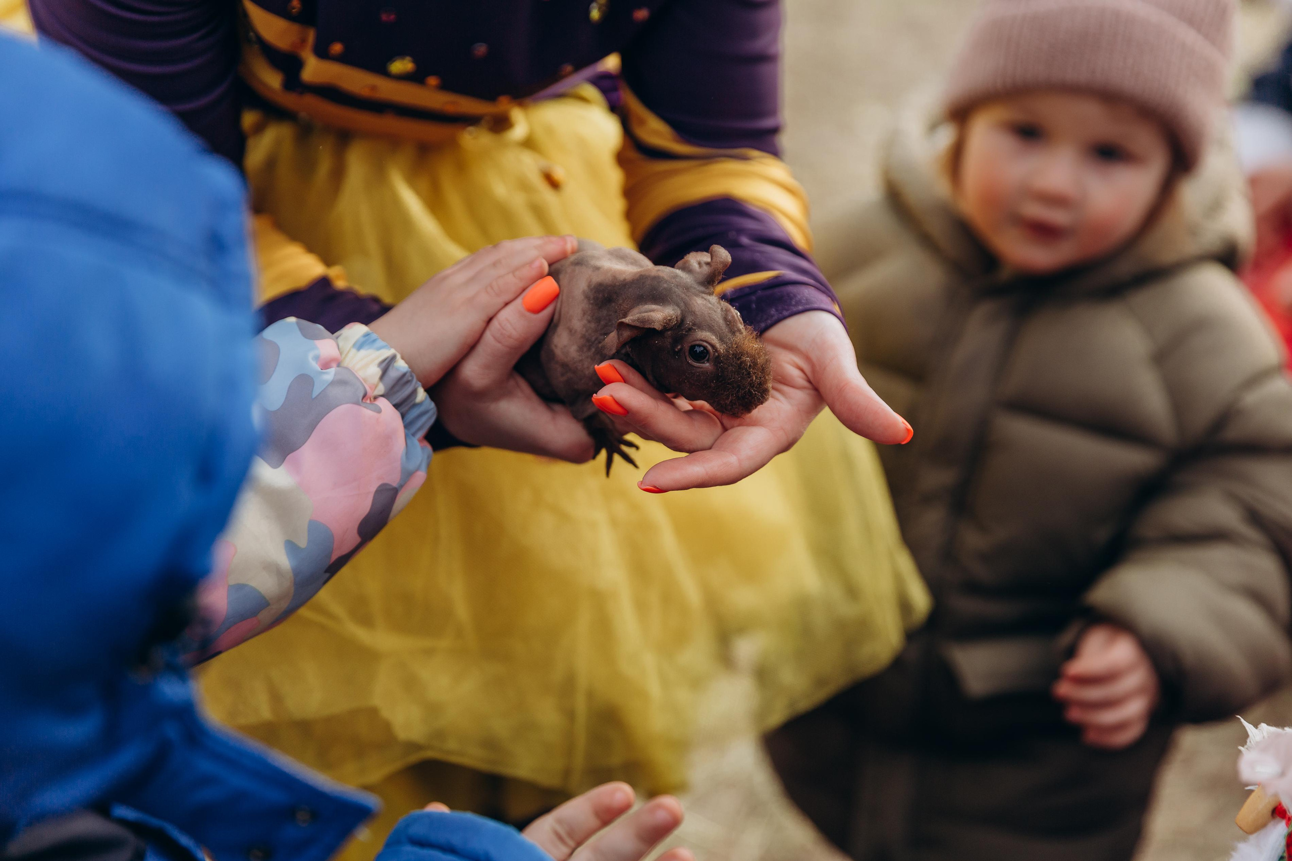 День рождения Хлои. Фотограф Виктория Дунаевская в Санкт Петербурге