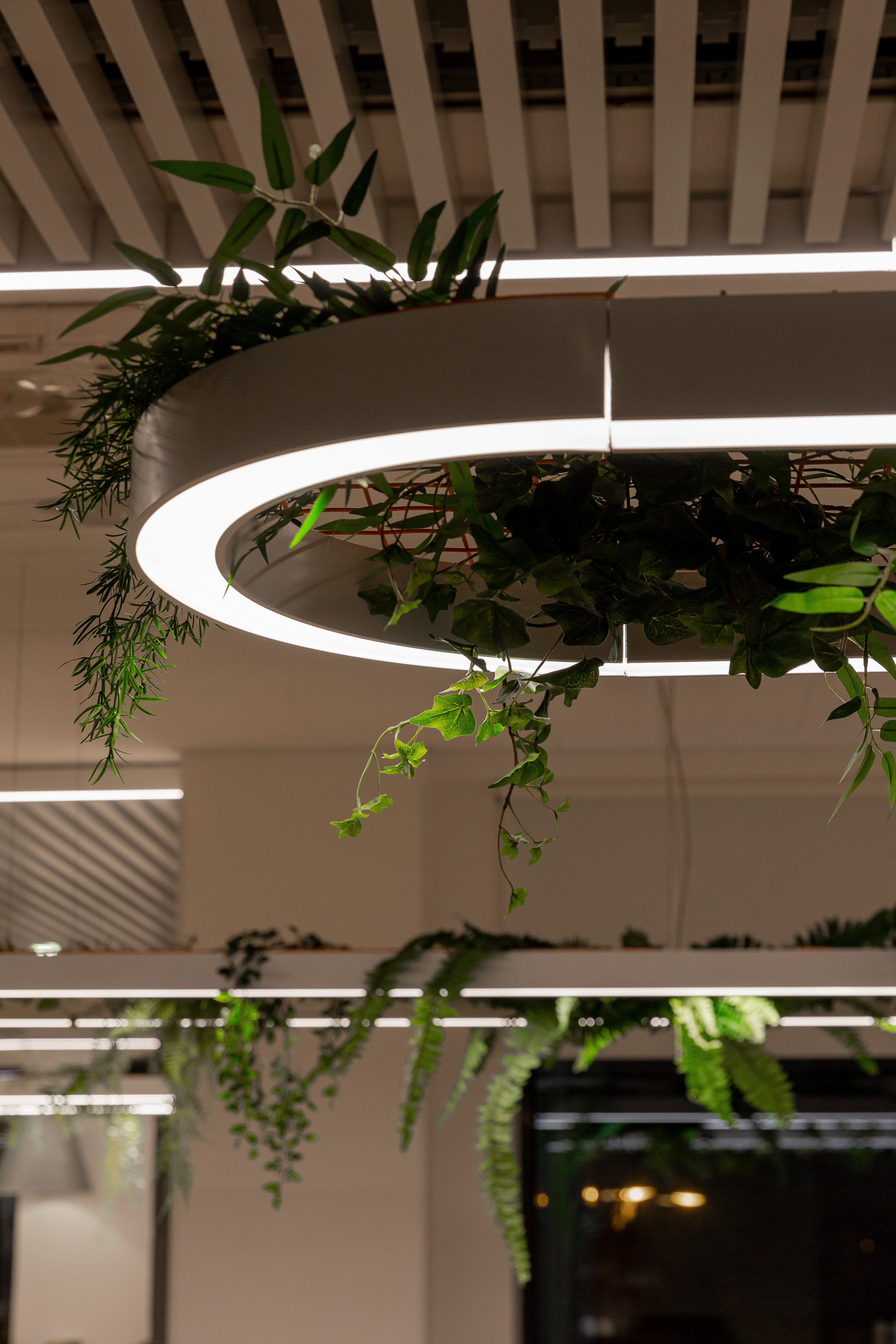 Офис. Фотограф Виктория Дунаевская в Санкт Петербурге