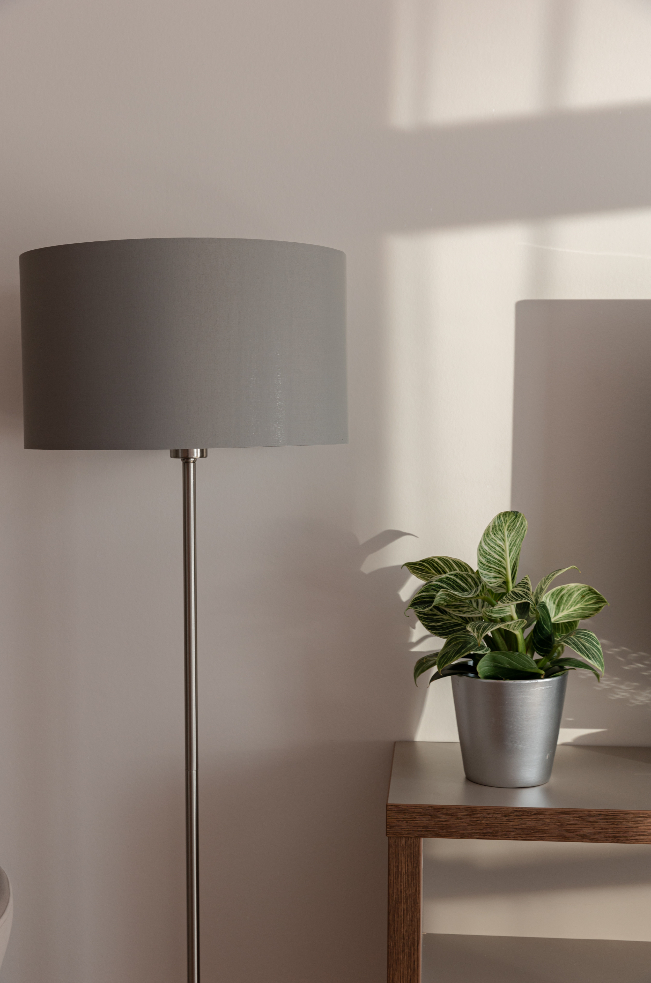 Avenue Apart на Малом. Фотограф Виктория Дунаевская в Санкт Петербурге