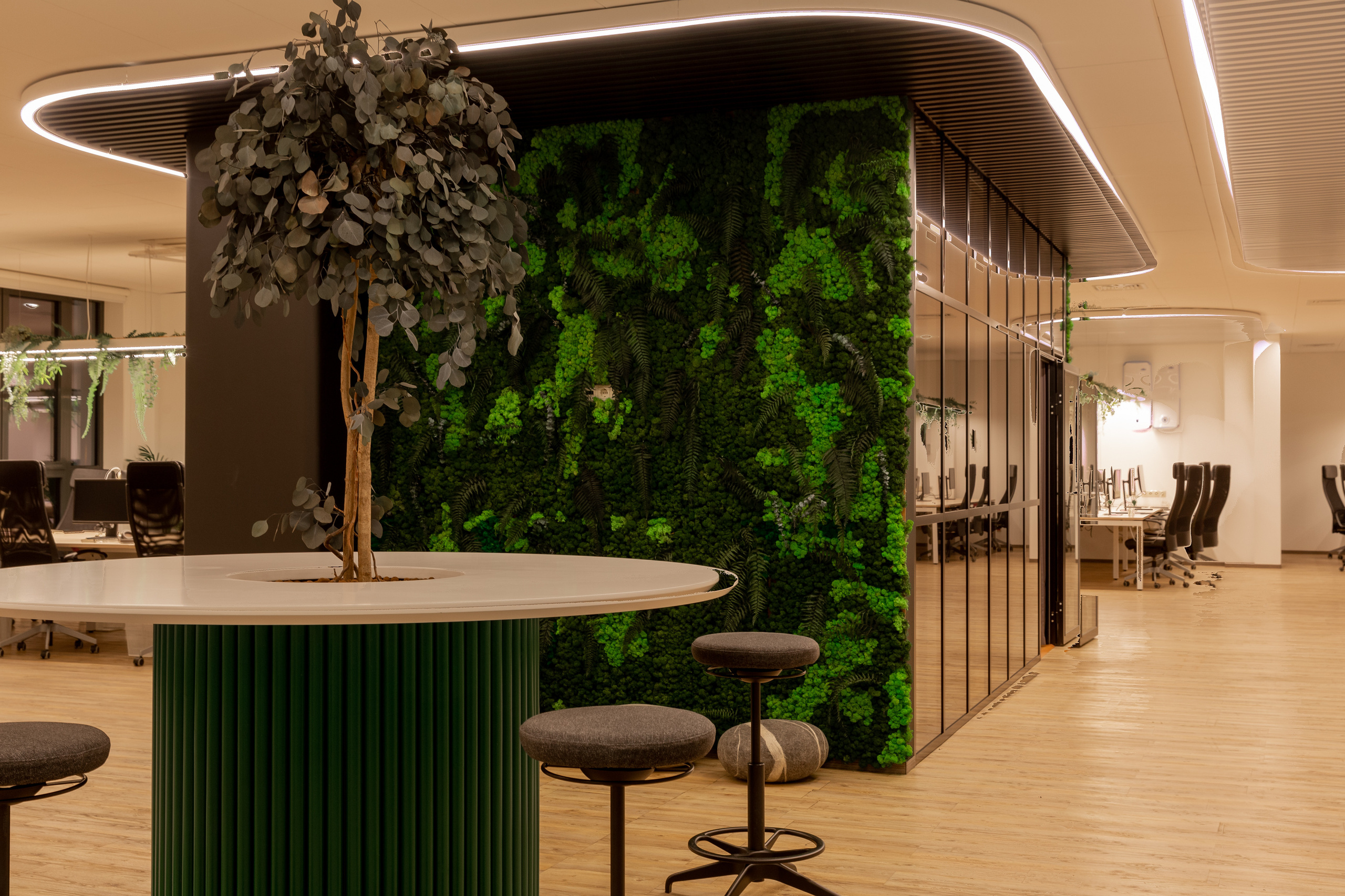 Офис. Фотограф Виктория Дунаевская в Санкт Петербурге