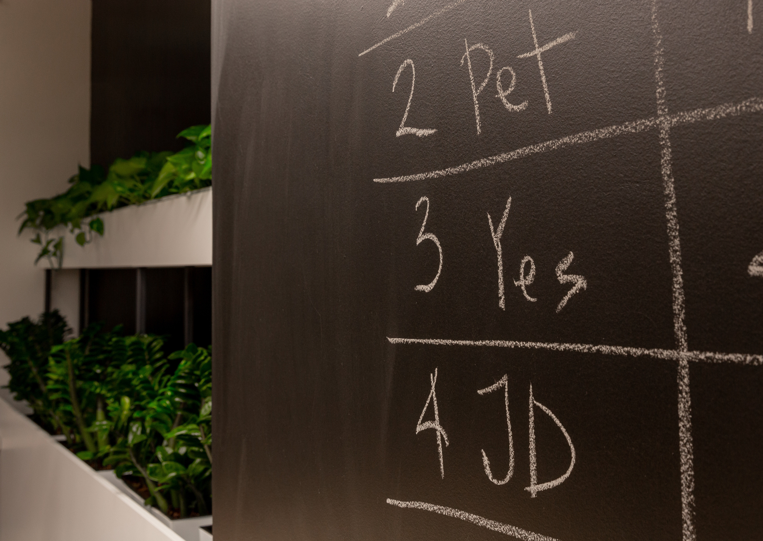 Офис. Фотограф Виктория Дунаевская в Санкт Петербурге