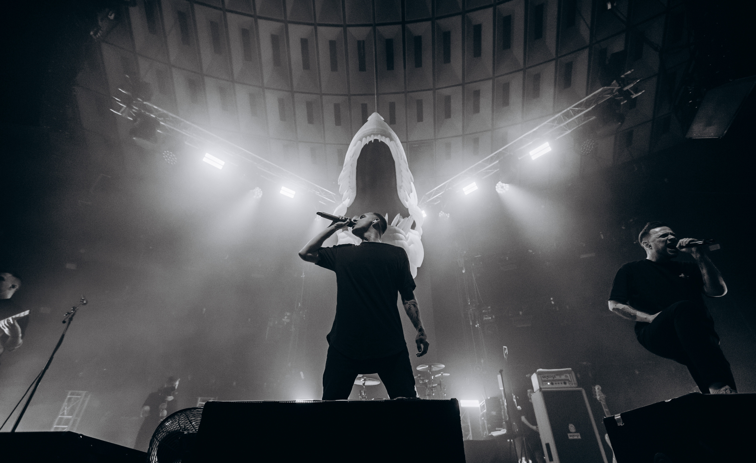 Anacondaz. Фотограф Виктория Дунаевская в Санкт Петербурге