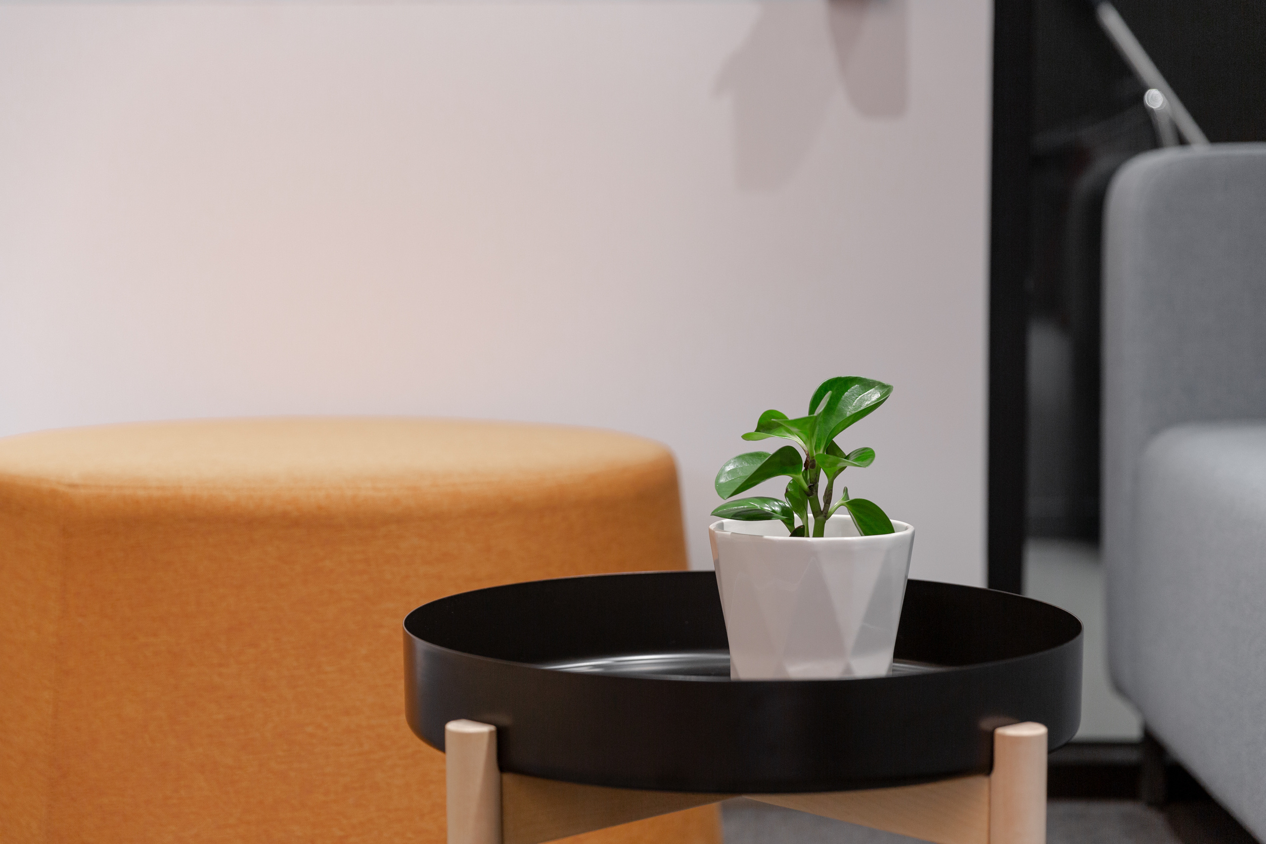 Офис. Фотограф Виктория Дунаевская в Санкт Петербурге