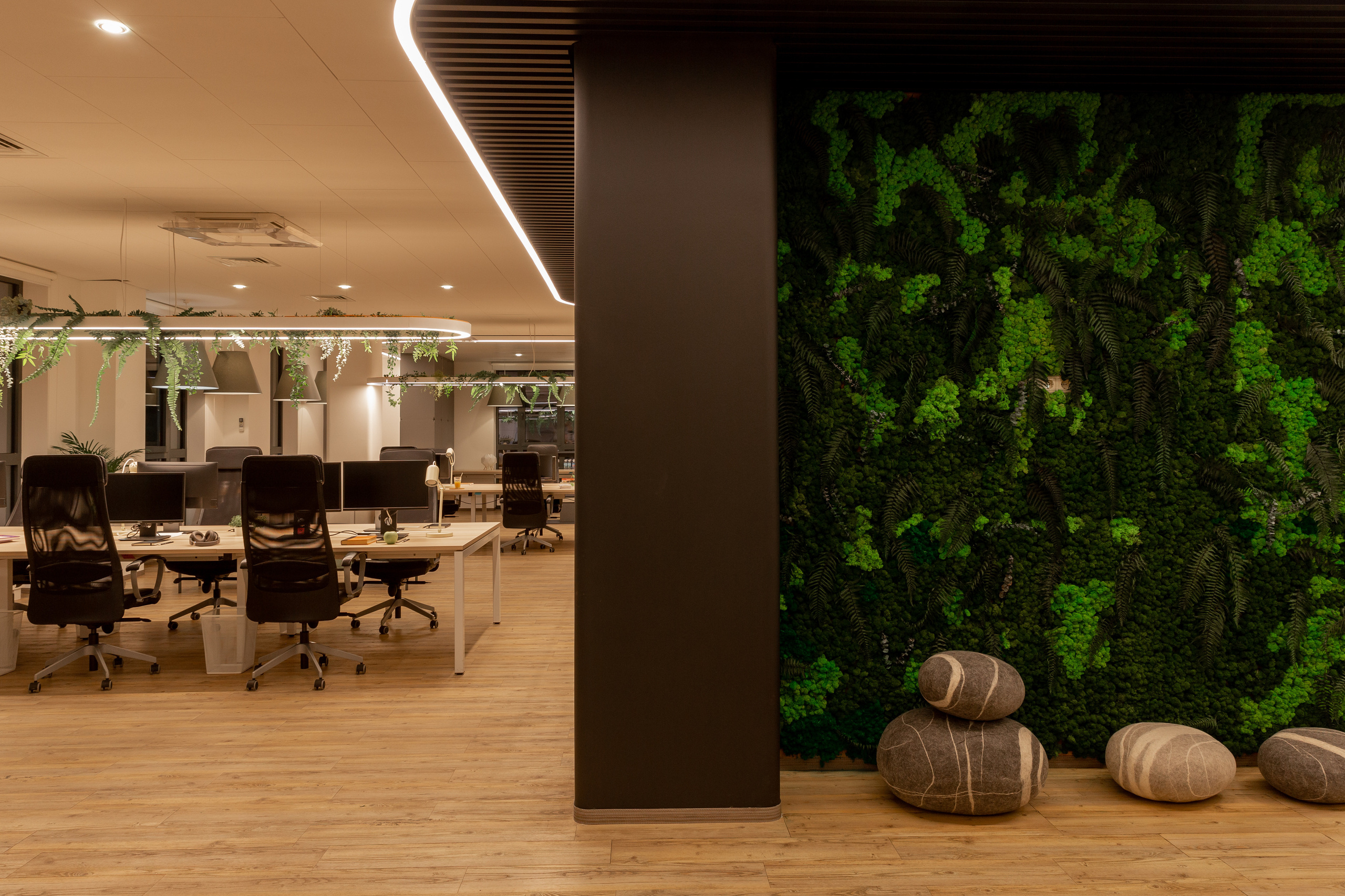 Офис. Фотограф Виктория Дунаевская в Санкт Петербурге