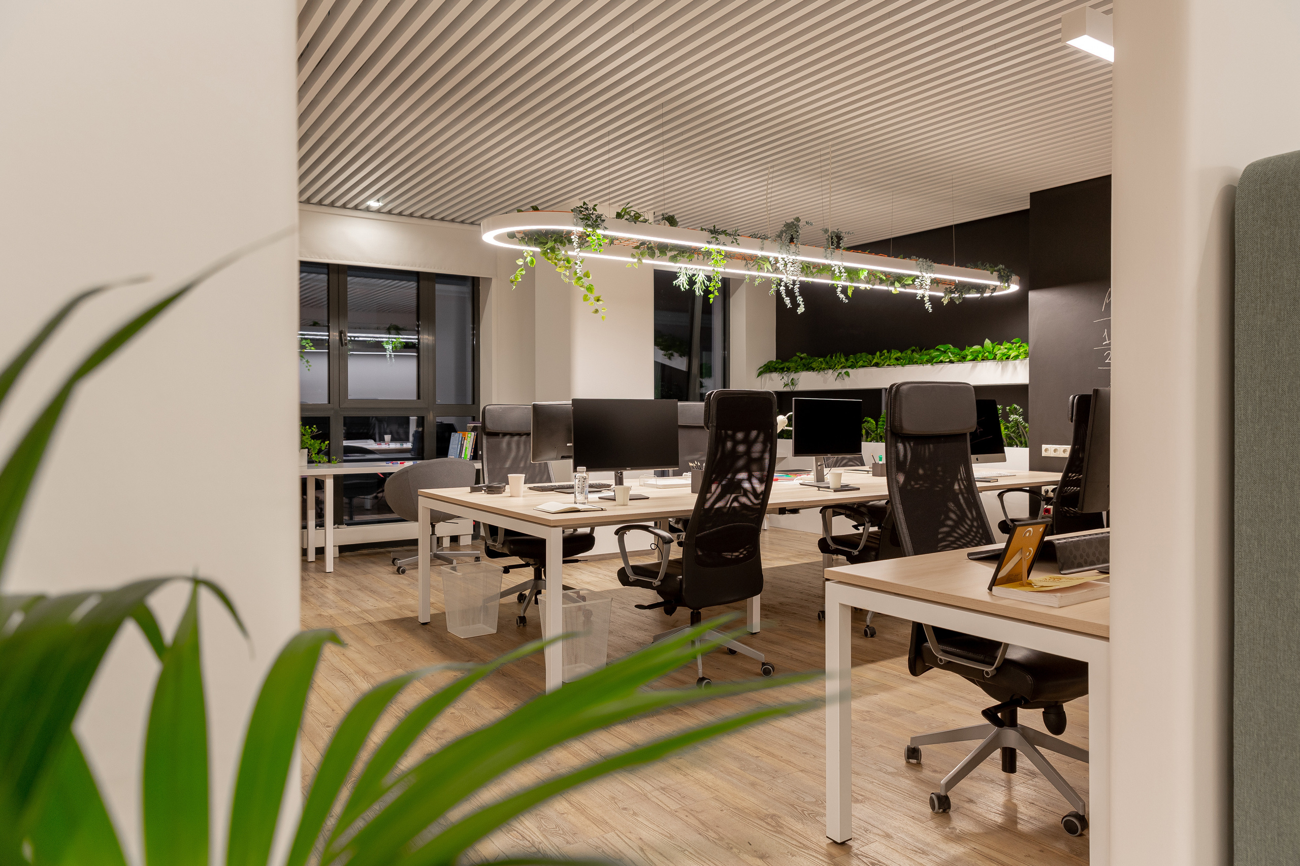 Офис. Фотограф Виктория Дунаевская в Санкт Петербурге