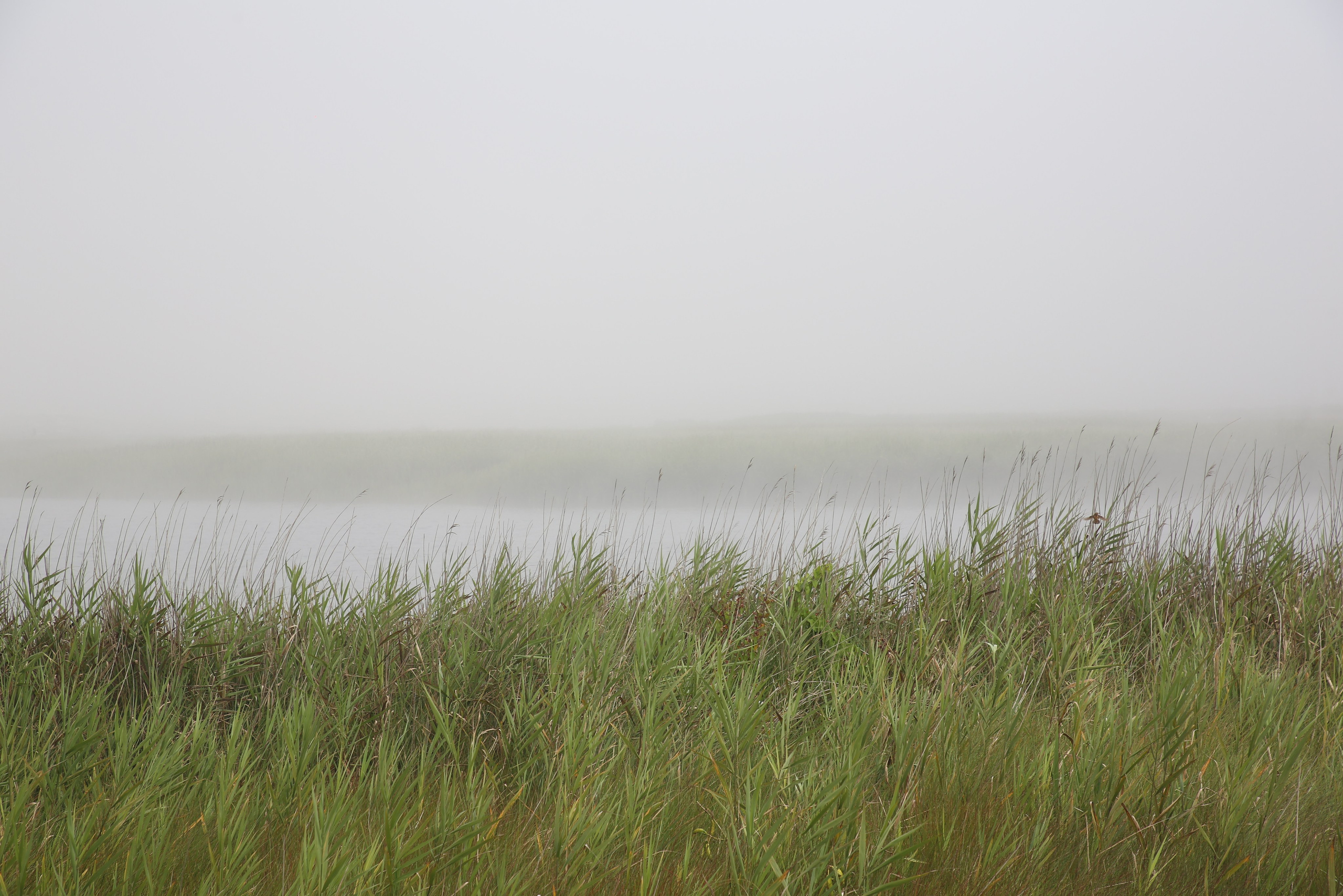 Esmoriz, Portugal. Andrey Filippov Photographer