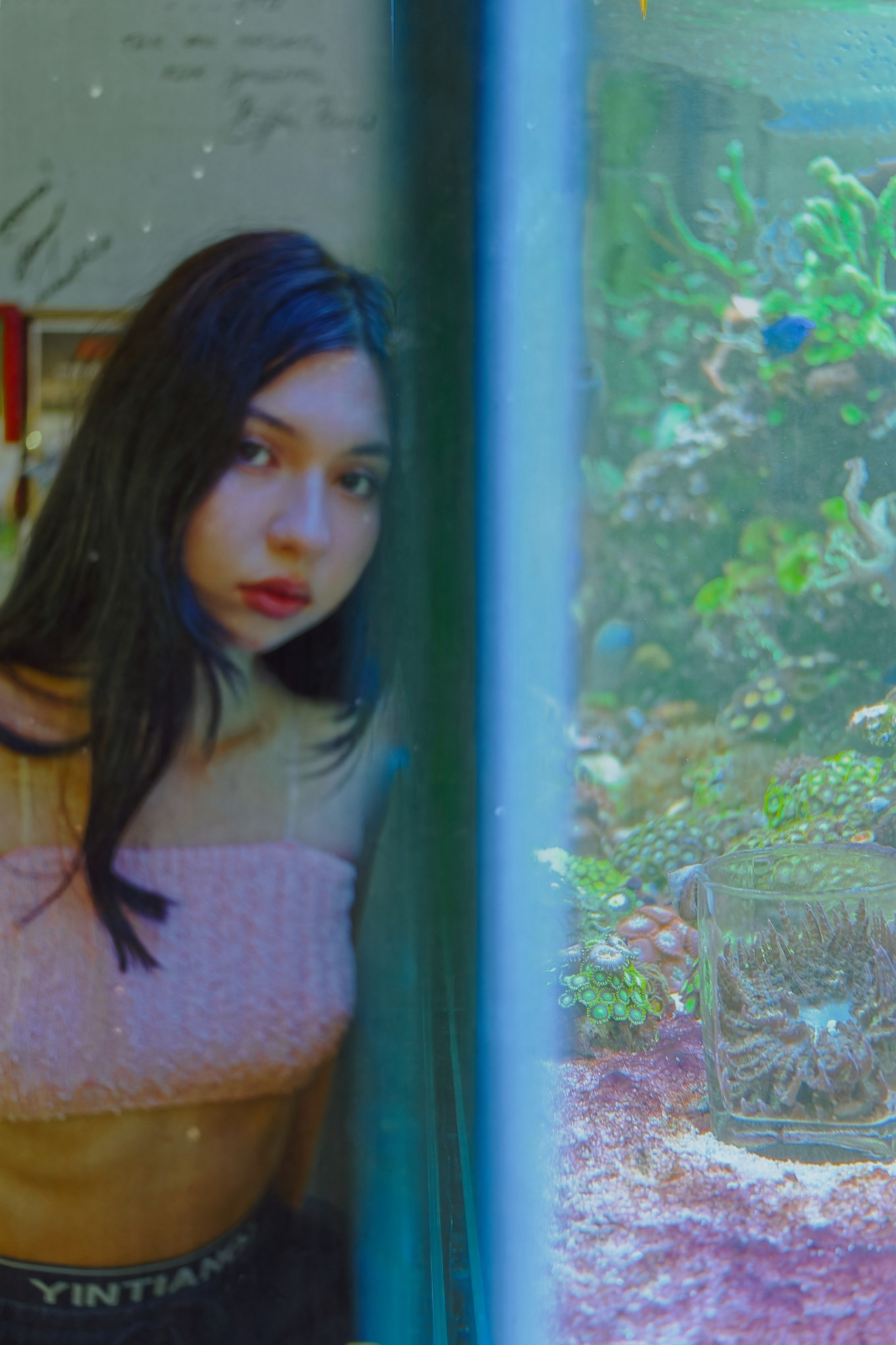 Аквариум. Фотограф Денис Шемет