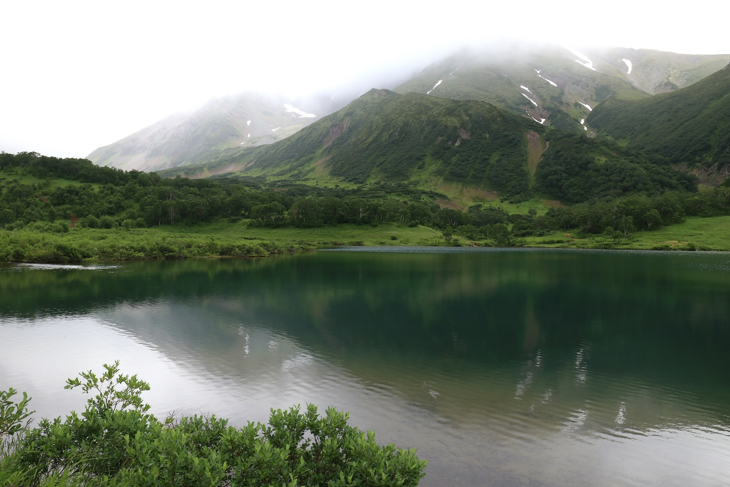 Камчатка и о. Парамушир. Июль 2024. Путешественник-фотограф из Санкт-Петербурга Татьяна Свистулина