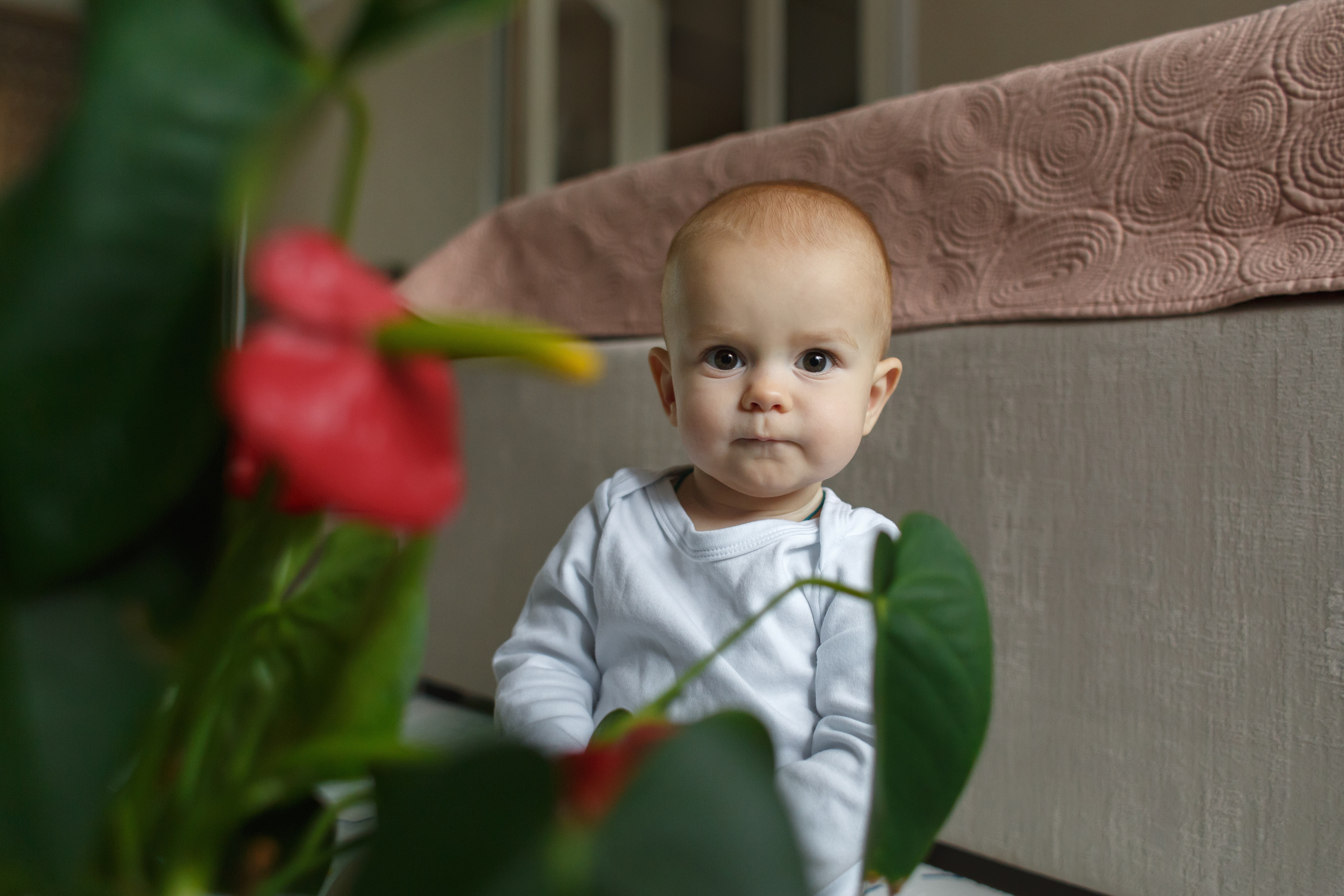 Домашние семейные съёмки. Семейный фотограф в Брянске Александра Щербакова