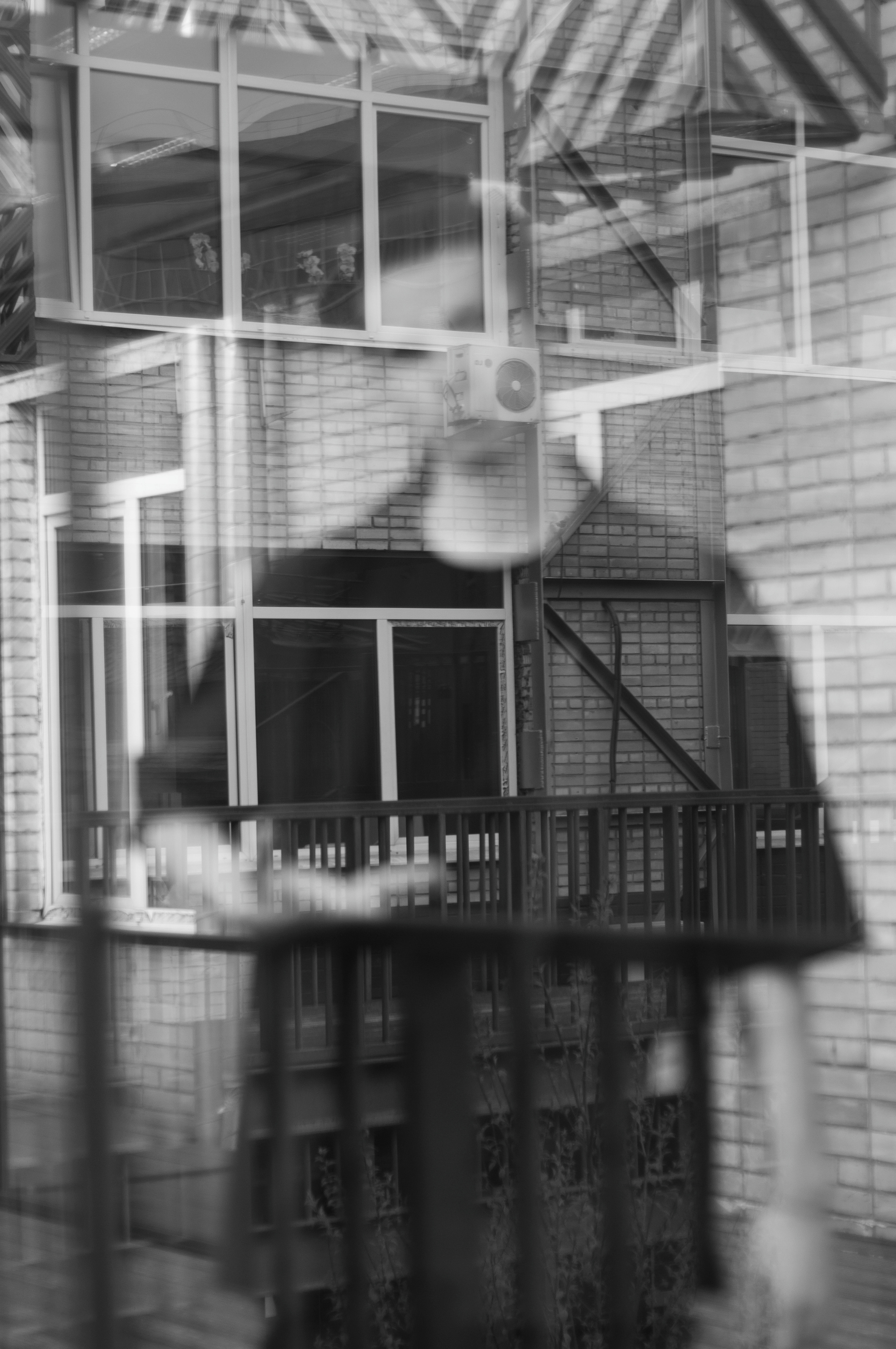 Черно белая фотография