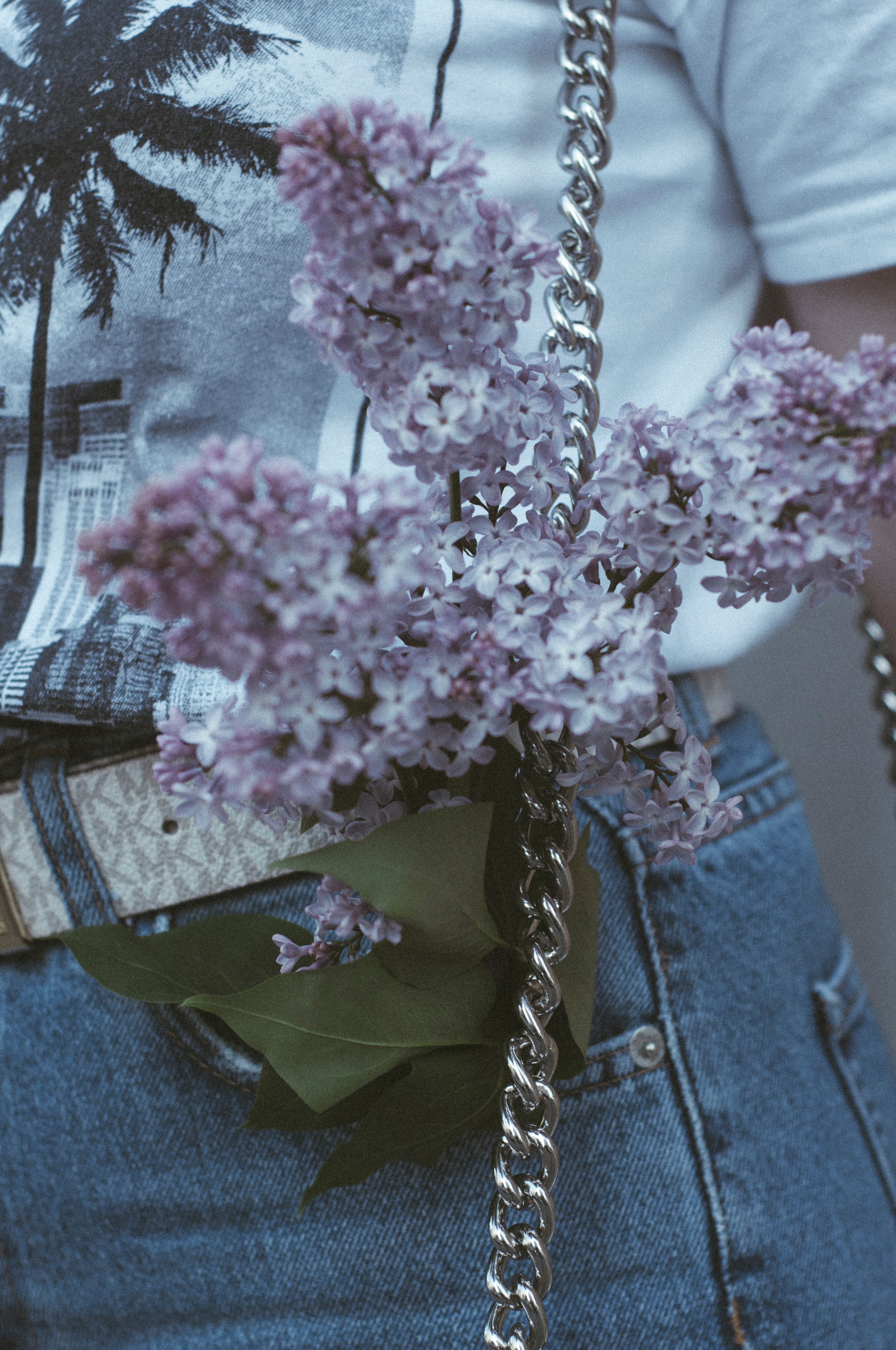 Сирень на улице