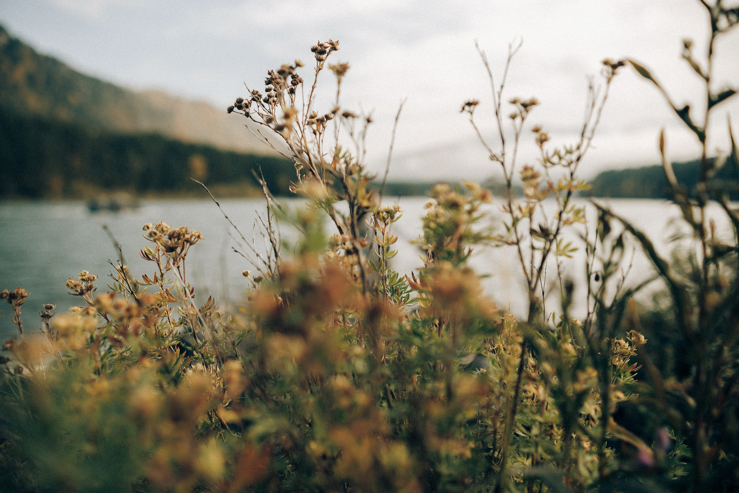 Горы. Свадебный и семейный фотограф Барнаул Рубцовск Бийск Алтайский край