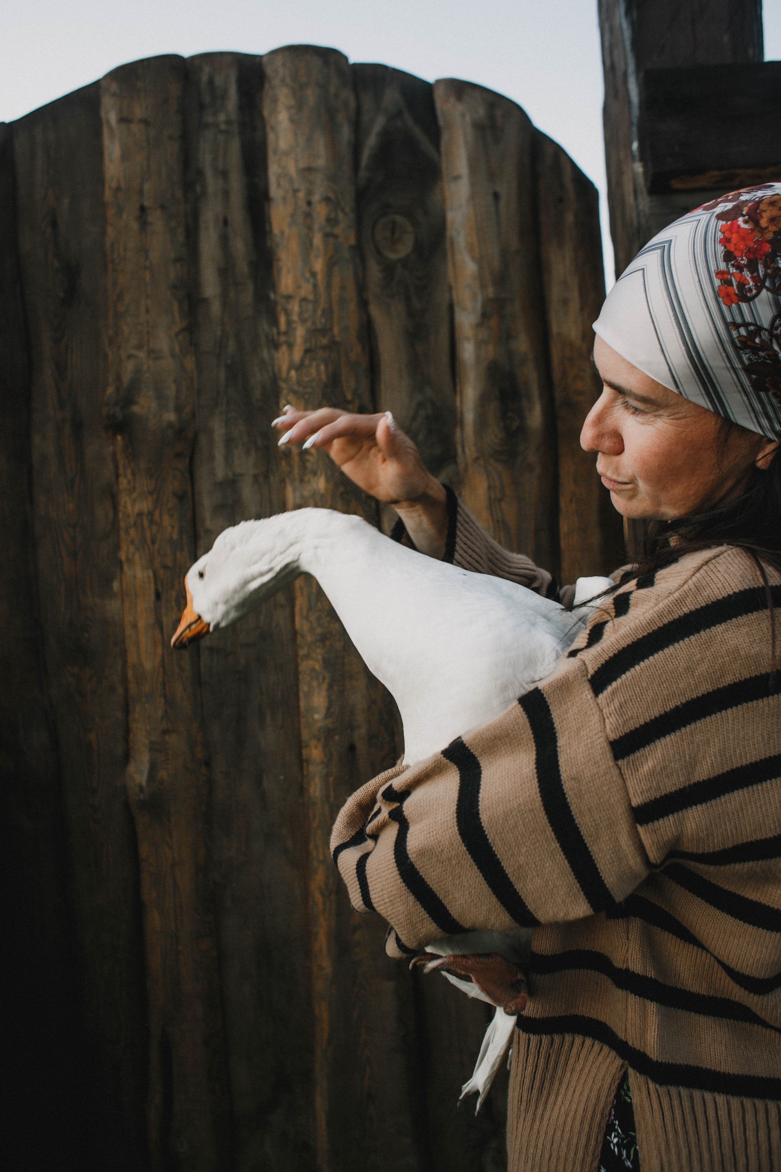 Варвара. Лошади. Закат. Фотограф в Нижнем Новгороде