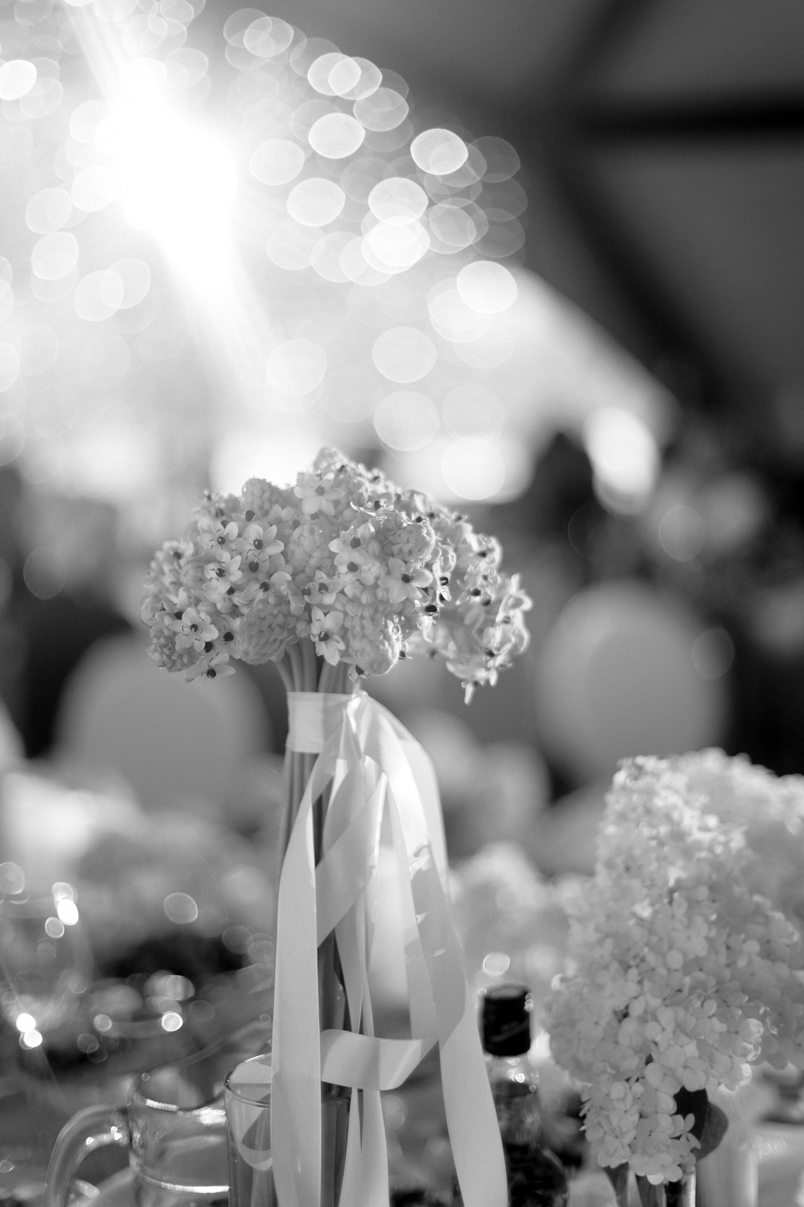 Даниил и Ольга. Свадебный и семейный фотограф в Новокузнецке Кемерово Новосибирске Богульская Ульяна