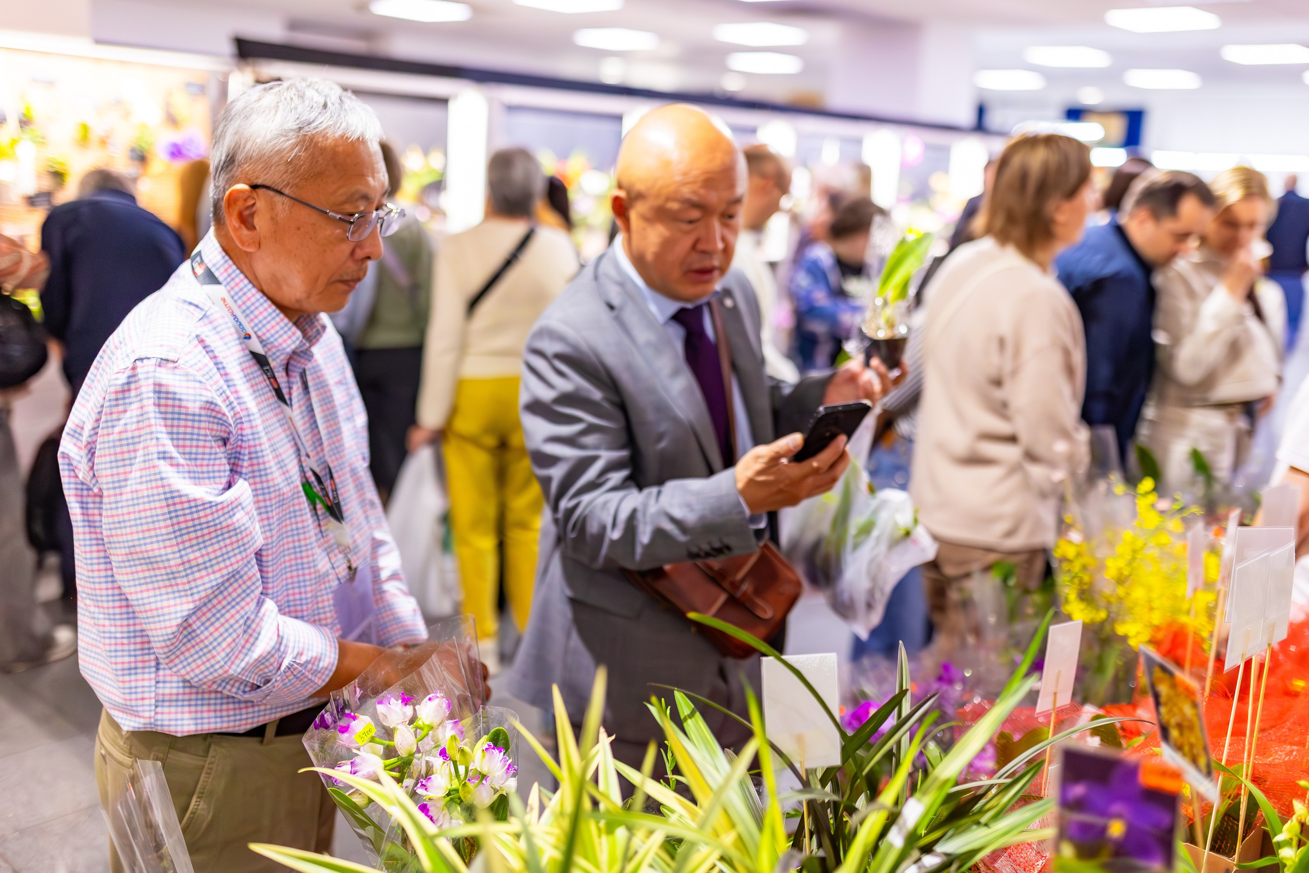 Орхидиум сентябрь 2025. Александра Куликова фотограф, Москва