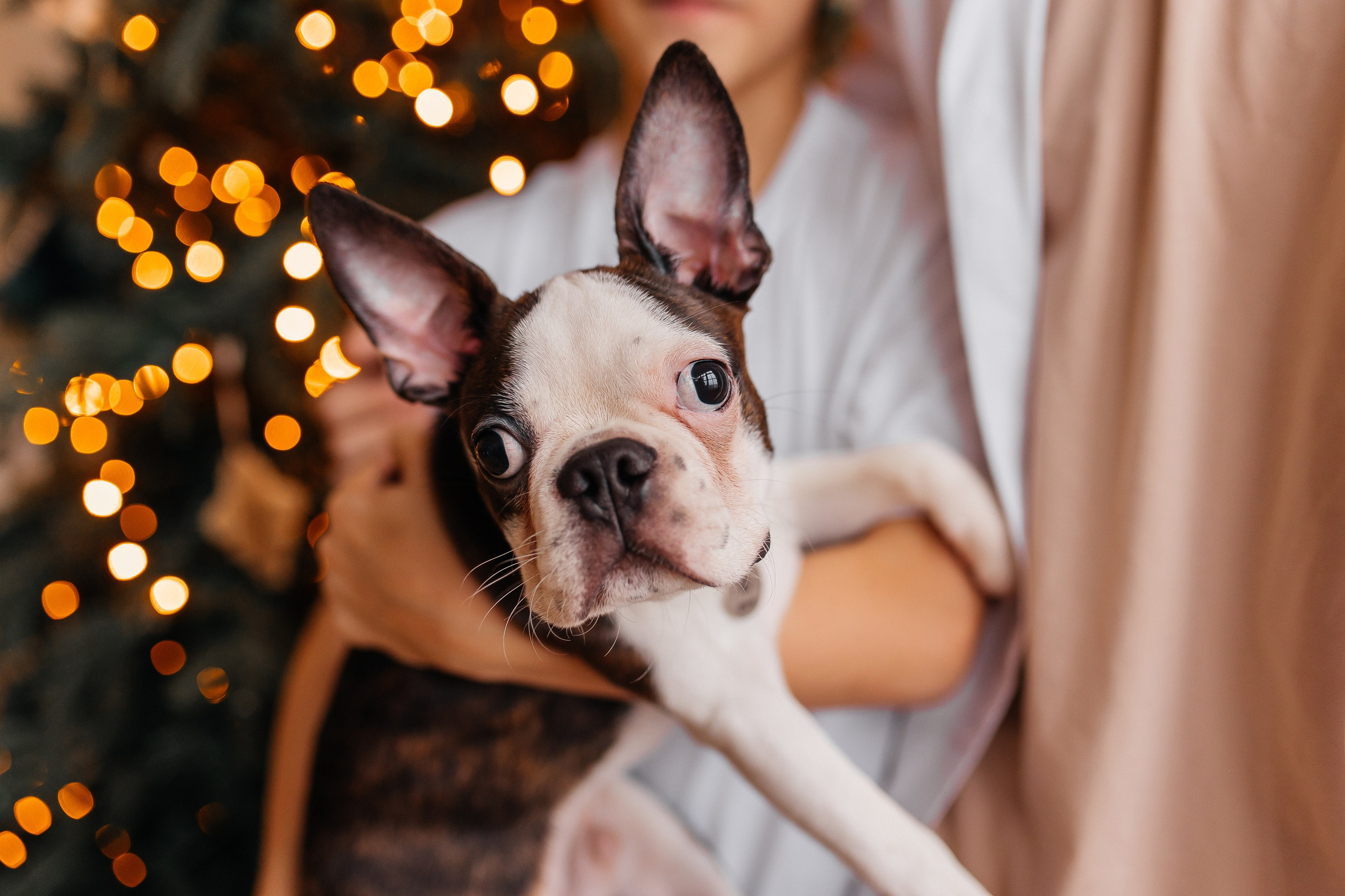 Большой семьей вместе. Свадебный и семейный фотограф в Туле и области Маша Костина