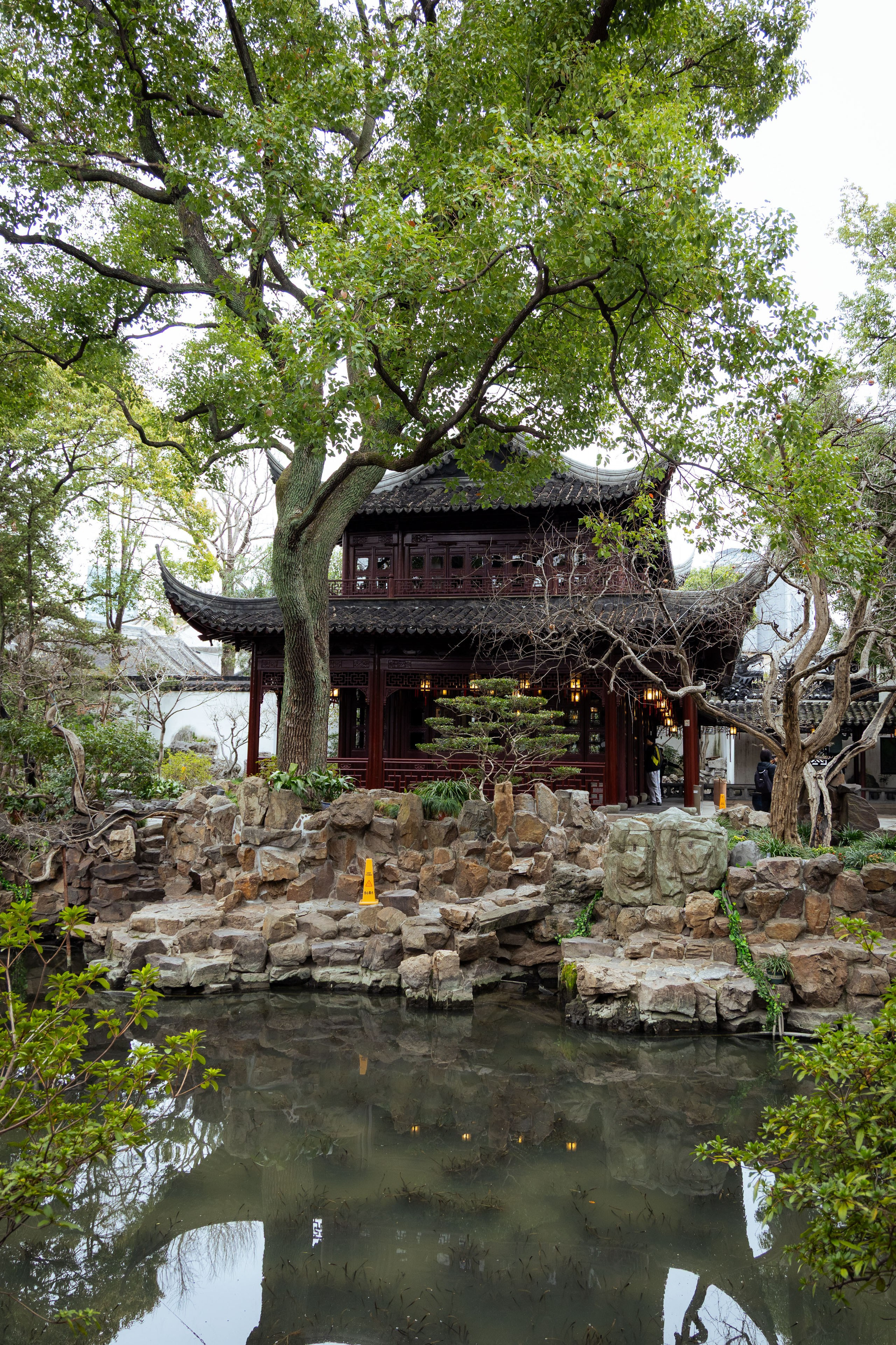 Шанхай (март 2026). Фотограф Виноградов Константин