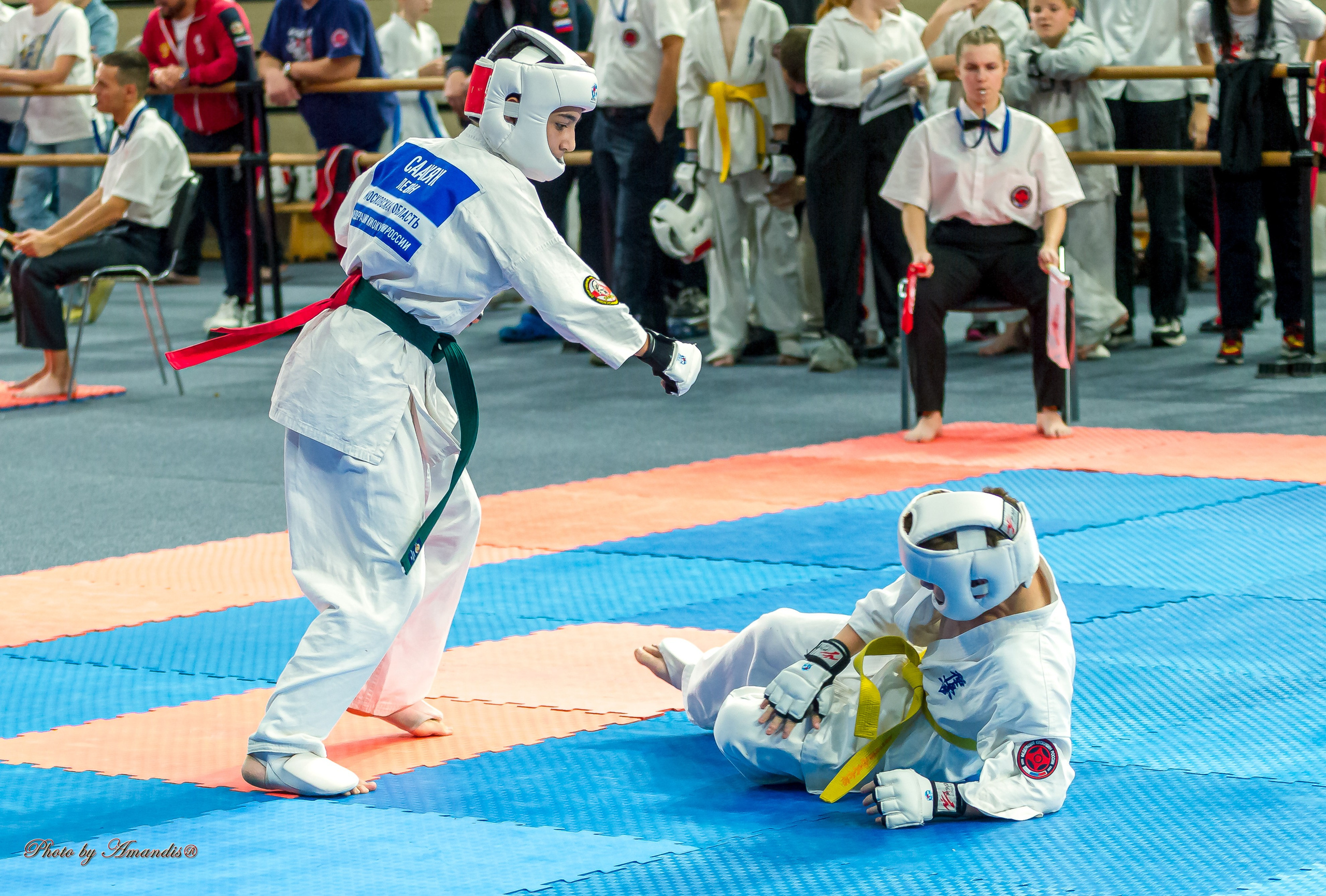 Первенство Московской области по Киокушин в СК «Жаворонки». Репортажная съемка в Москве и области. Анималистика