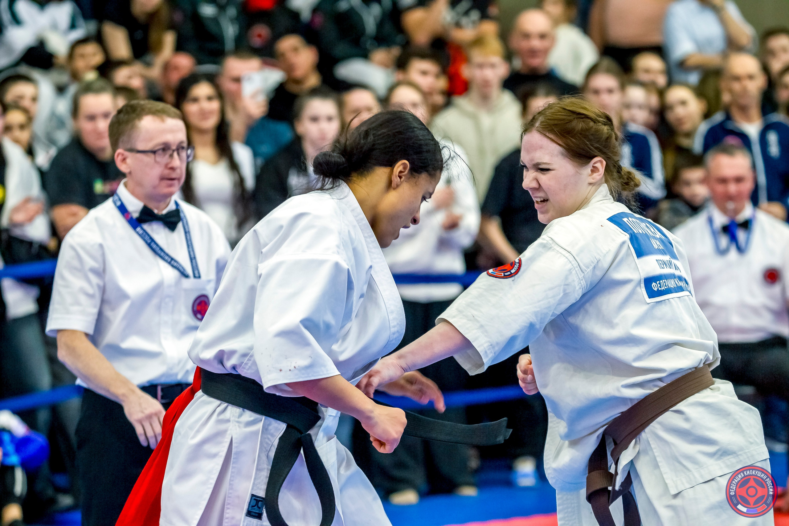 Международный турнир по киокушин «Открытый кубок Seiken». Репортажная съемка в Москве и области. Анималистика