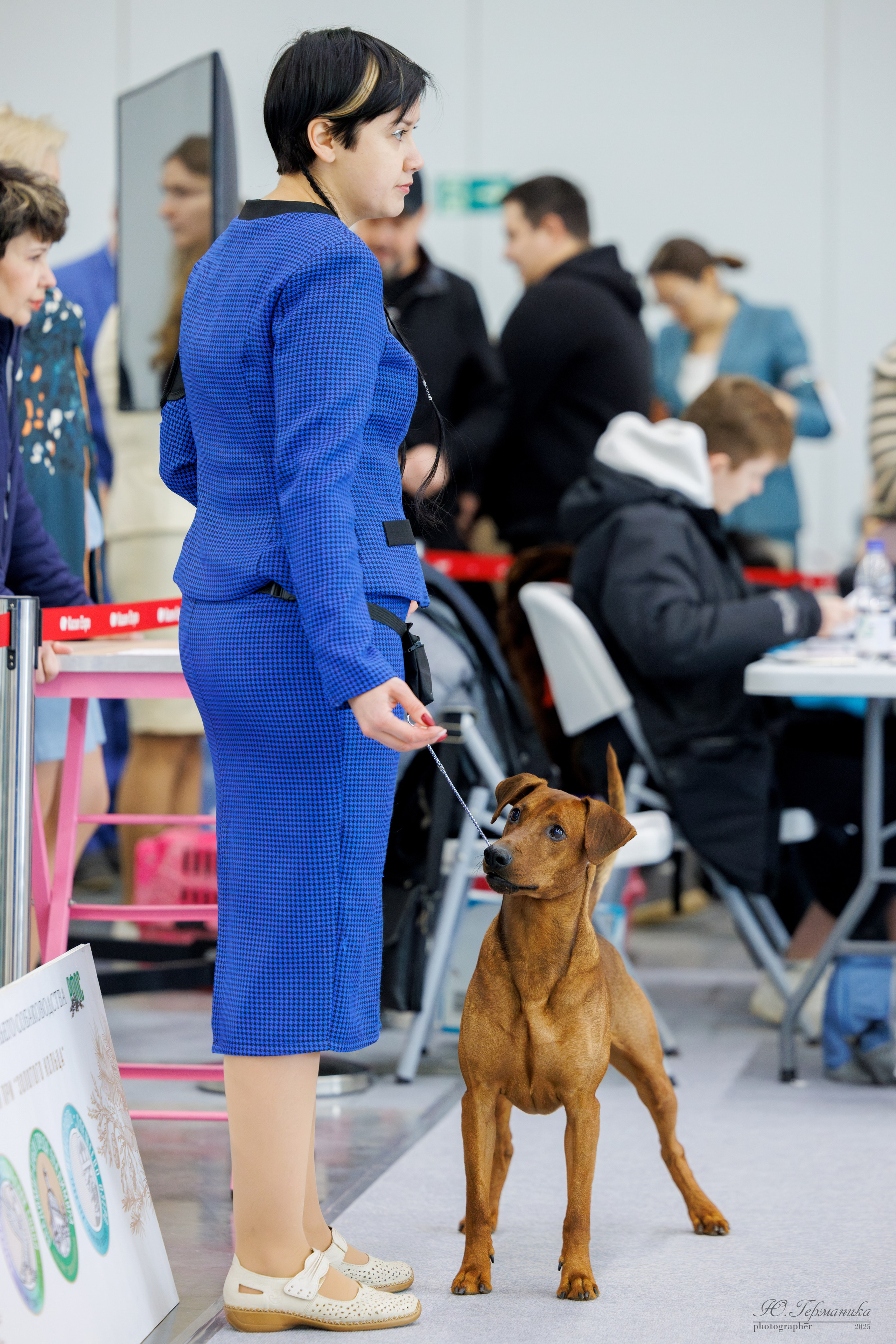 Сабанеевка Казань 25-26.01.2025. Фотограф-анималист Юлия Германика