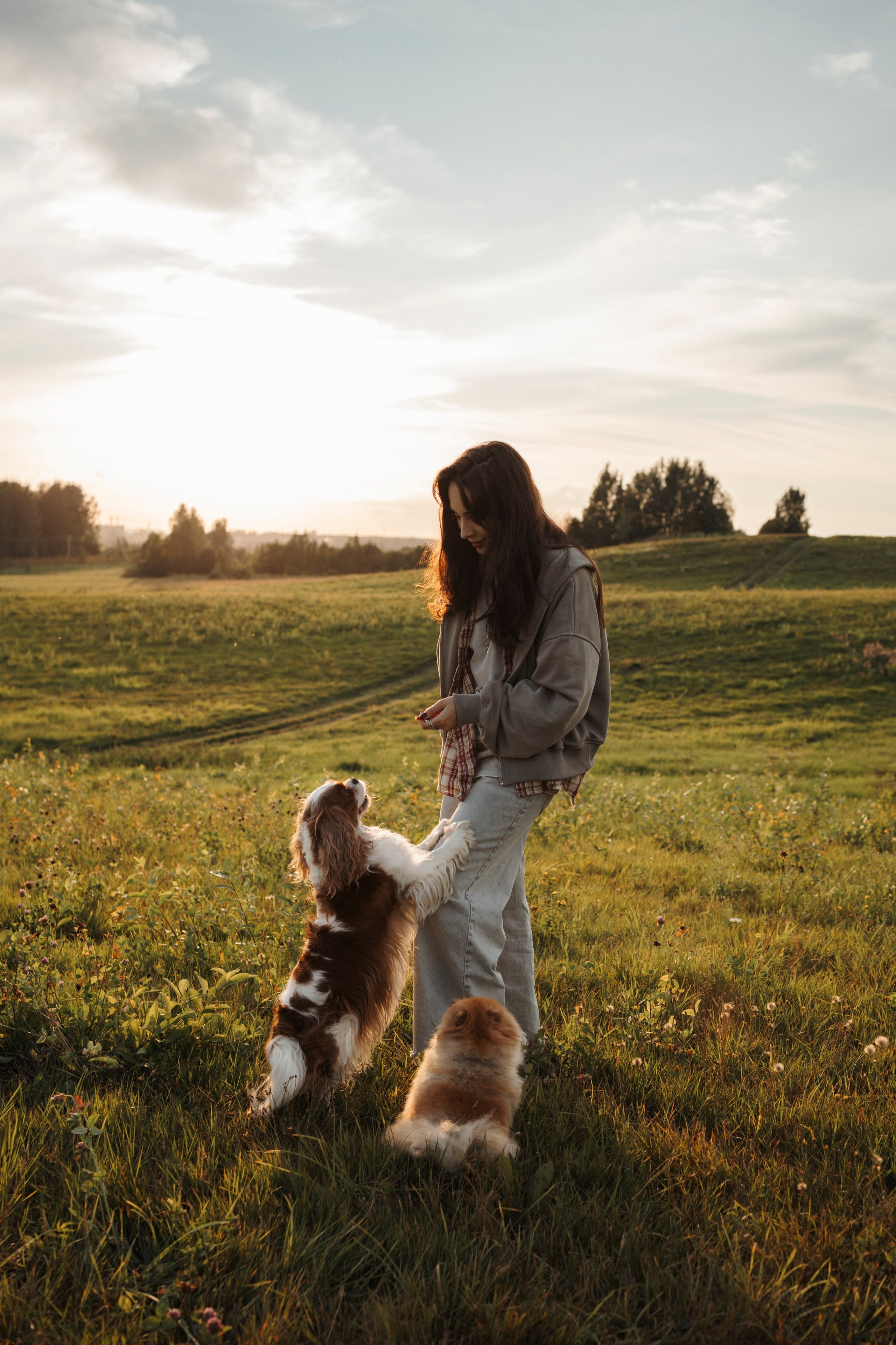На закате Катерина, Луна и Рикки. Фотограф-анималист в Санкт-Петеребурге Титова Алиса