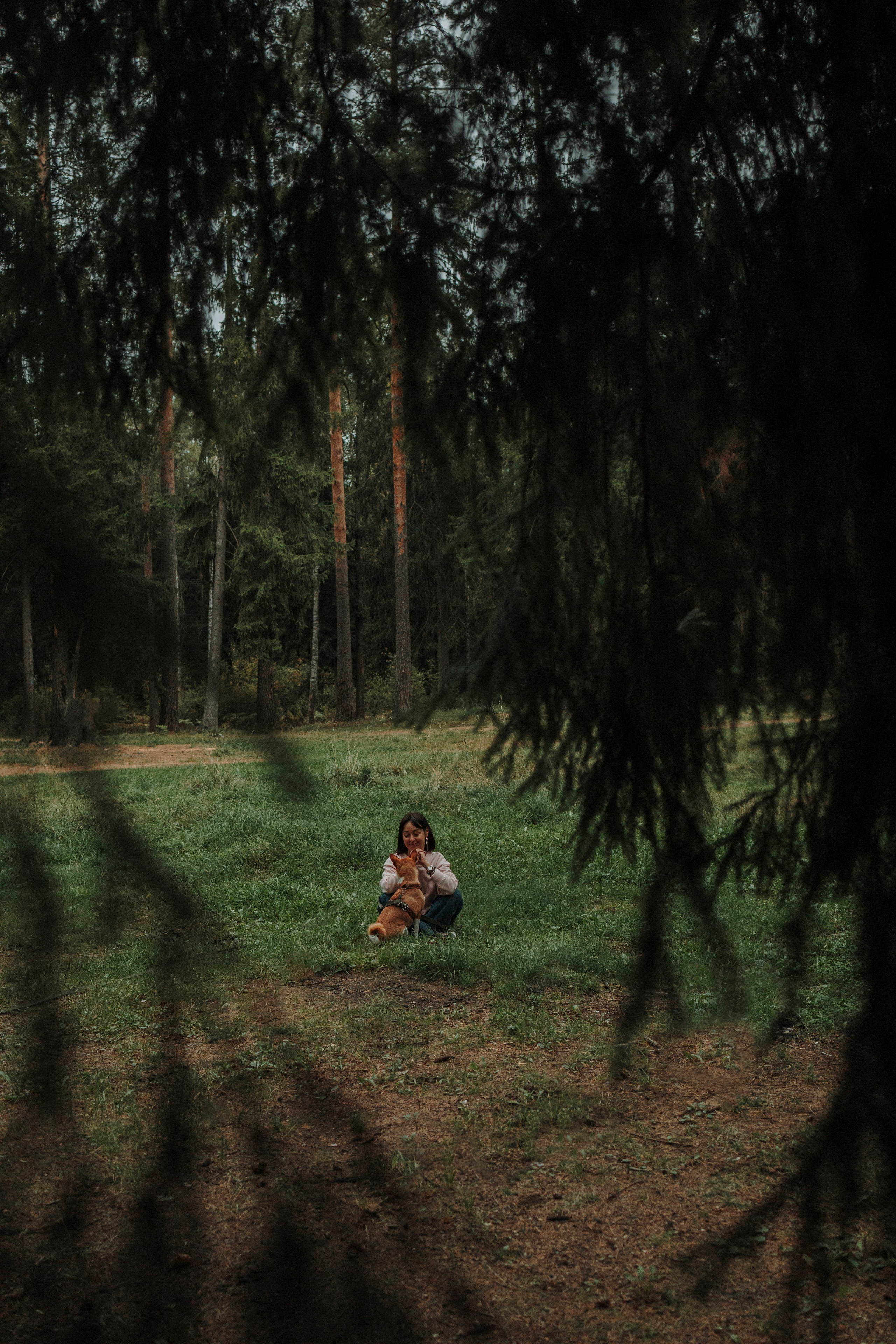 Даша и Лора. Фотограф-анималист в Санкт-Петеребурге Титова Алиса