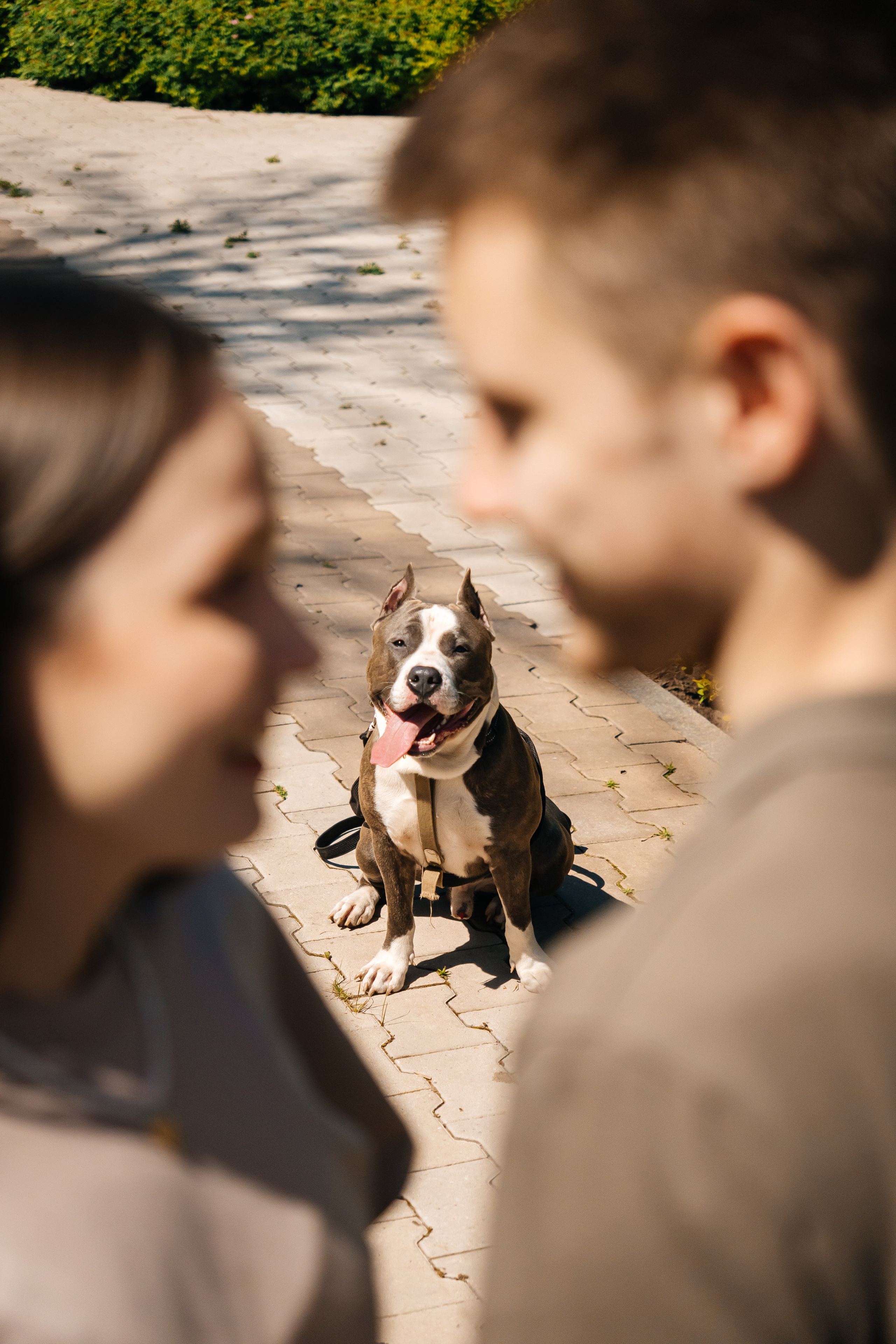Ксения и Артём. Семейный и LifeStyle фотограф в Жигулевске и Тольятти Рустам Ханмурзин