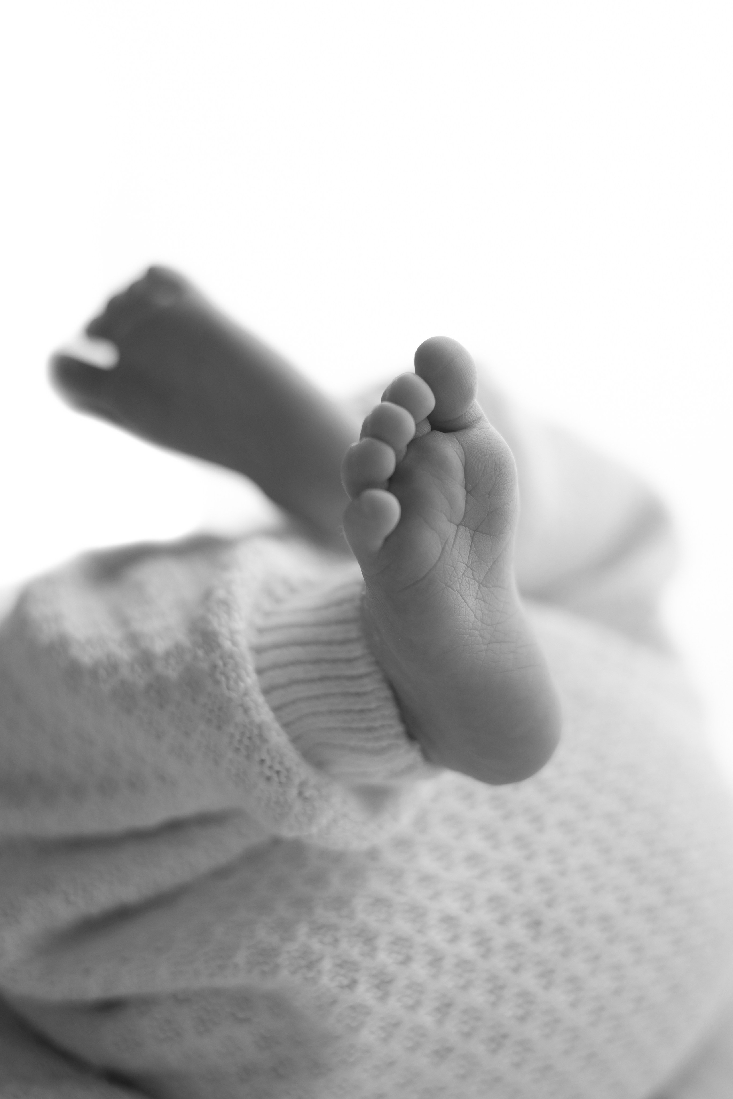 Лев. Лилия Алтухова — фотограф новорожденных в Москве и области