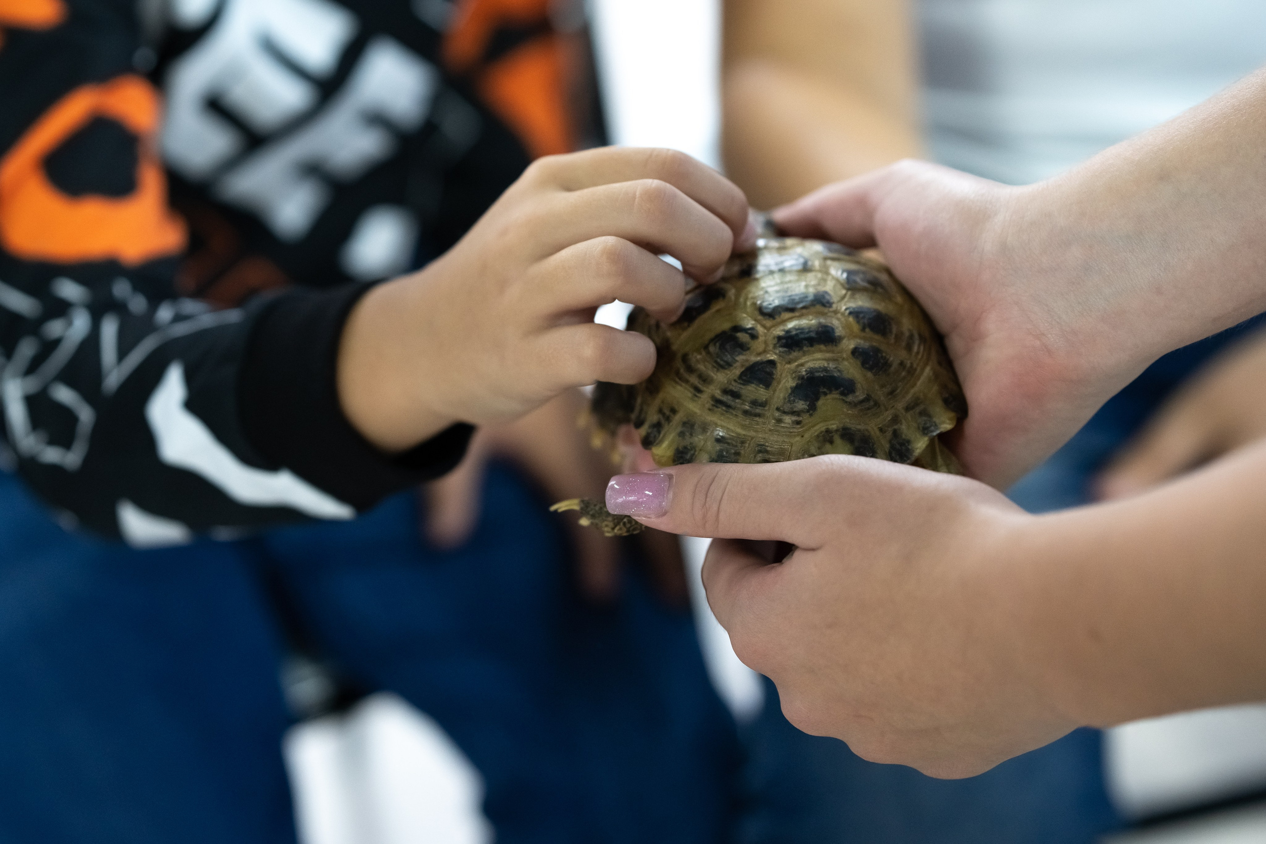 Tik Tok вечеринка. Фотограф в Одинцово, Москве