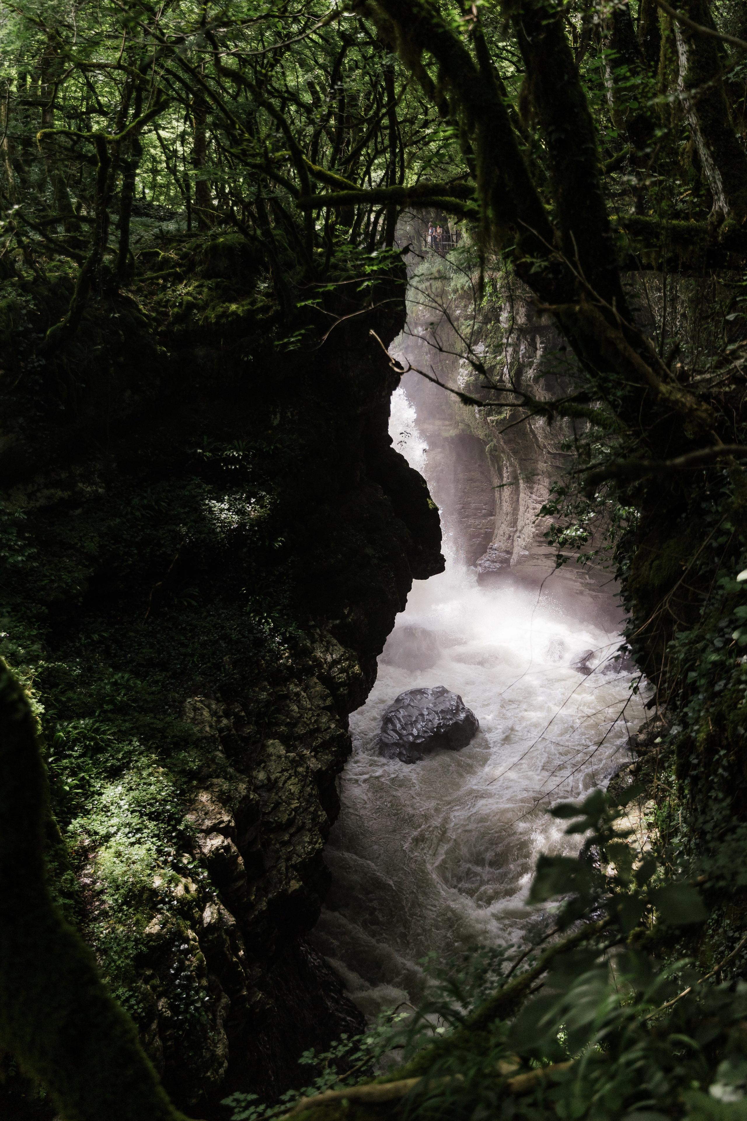 Georgia. Свадебный и семейный фотограф в Краснодаре Роман Моско
