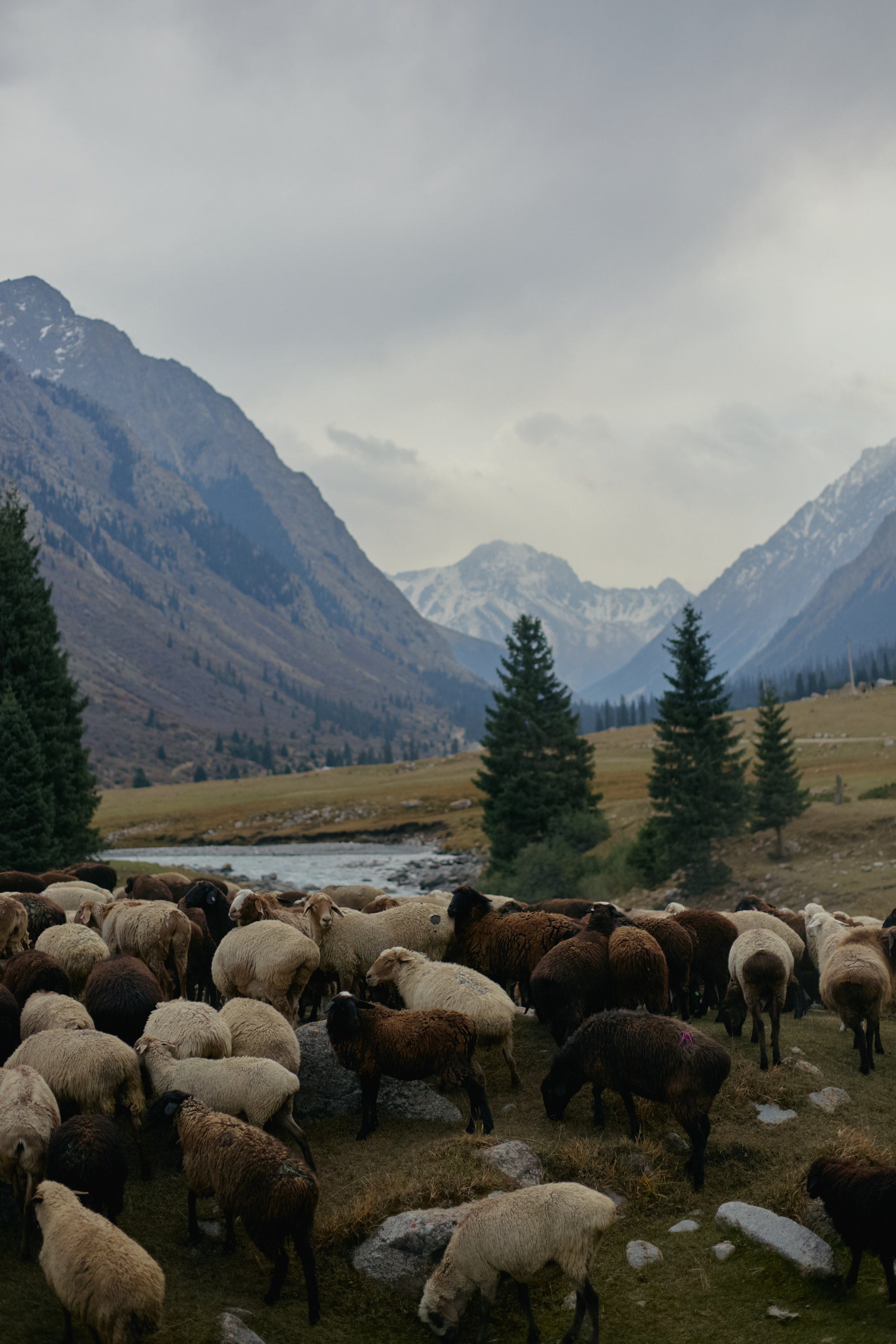 Кыргызтан. Профессиональный Фотограф во Владимире, в Москве и в Суздале — Полина Романычева