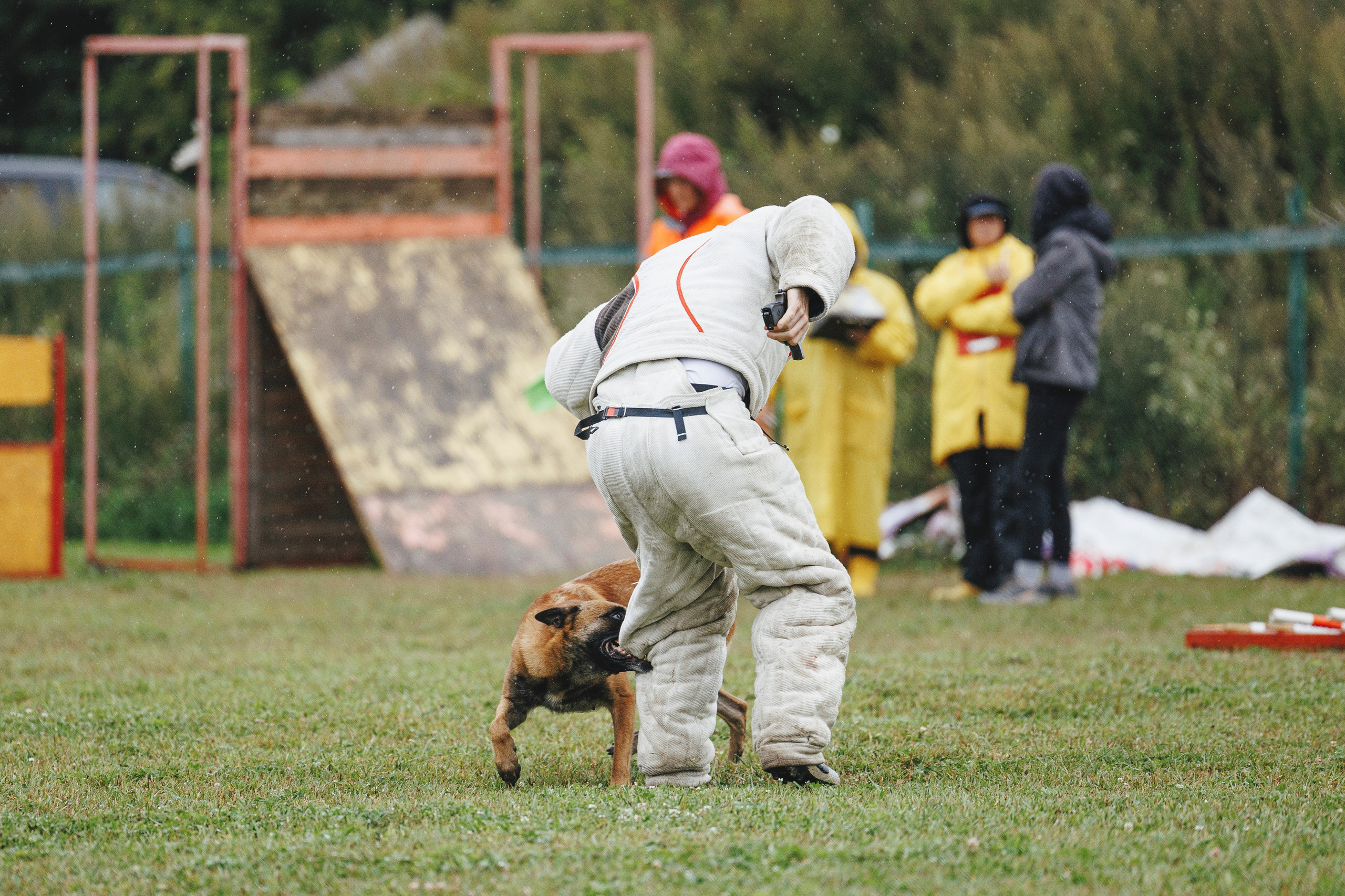 08.08.25-10.08.25 ЧР по мондьорингу г. Вологда. Фотограф-анималист Анна Маринич