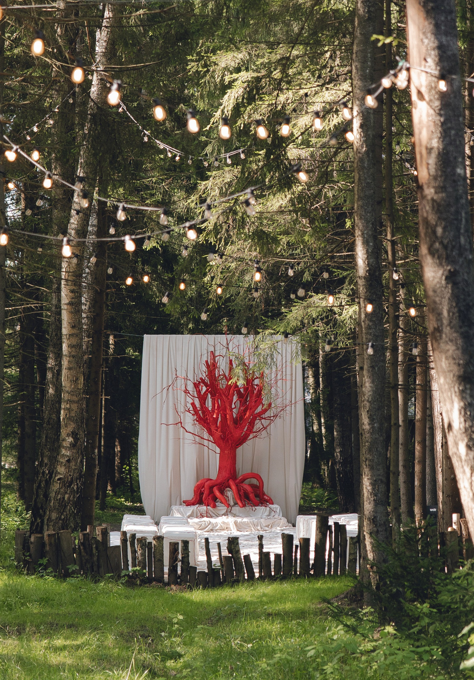 ТЫ — МОЙ ПУЛЬС