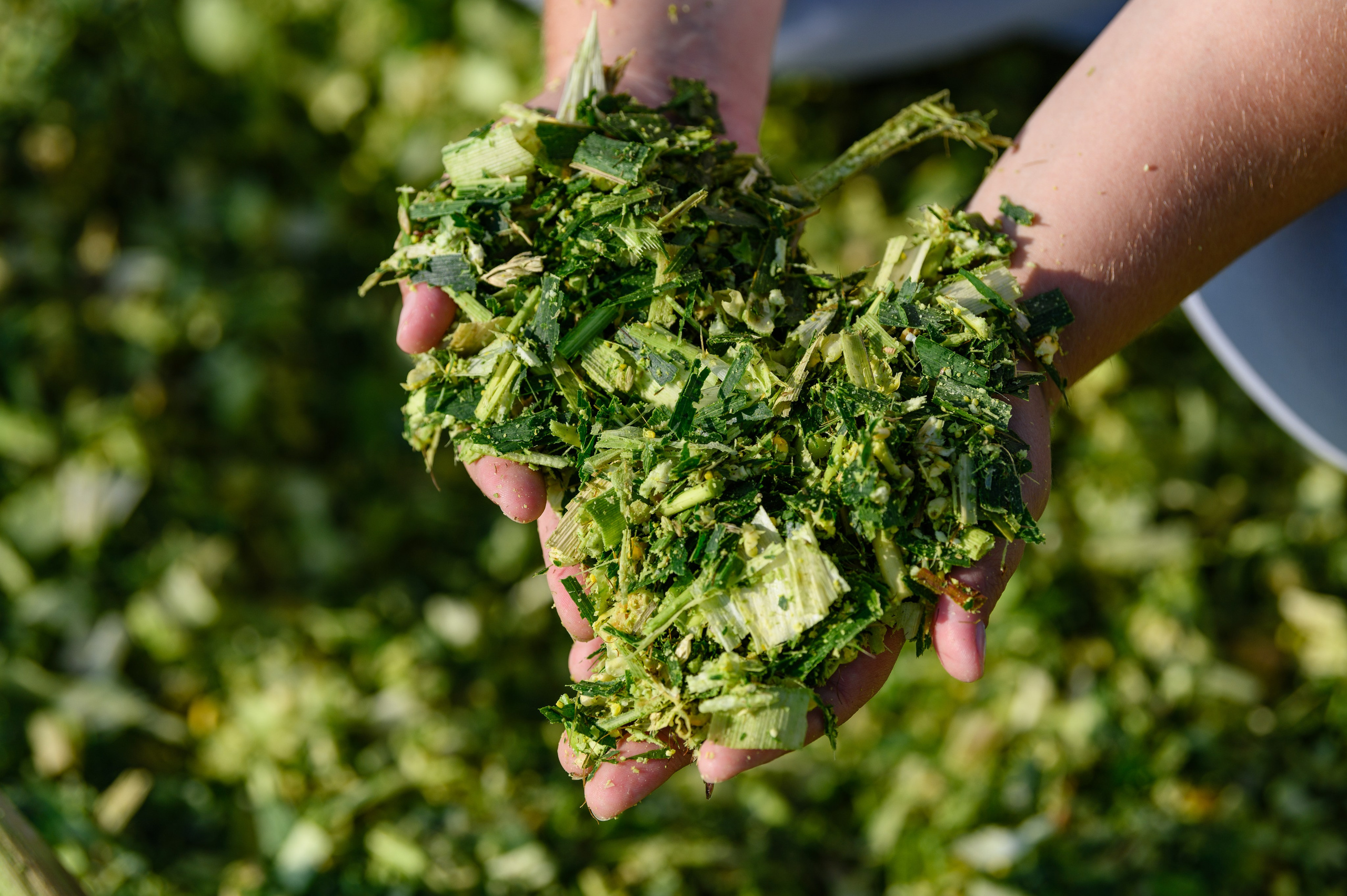 фотосъемка для агропредприятий, фотосъемка сельхозпродукции, фотосъемка для агробизнеса, фотосъемка для сельхозпроизводителей, агрофото, фотосъемка для сельхозкомпаний, фотосъемка сельхозтехники, фотосъемка урожая, агрофотосъемка