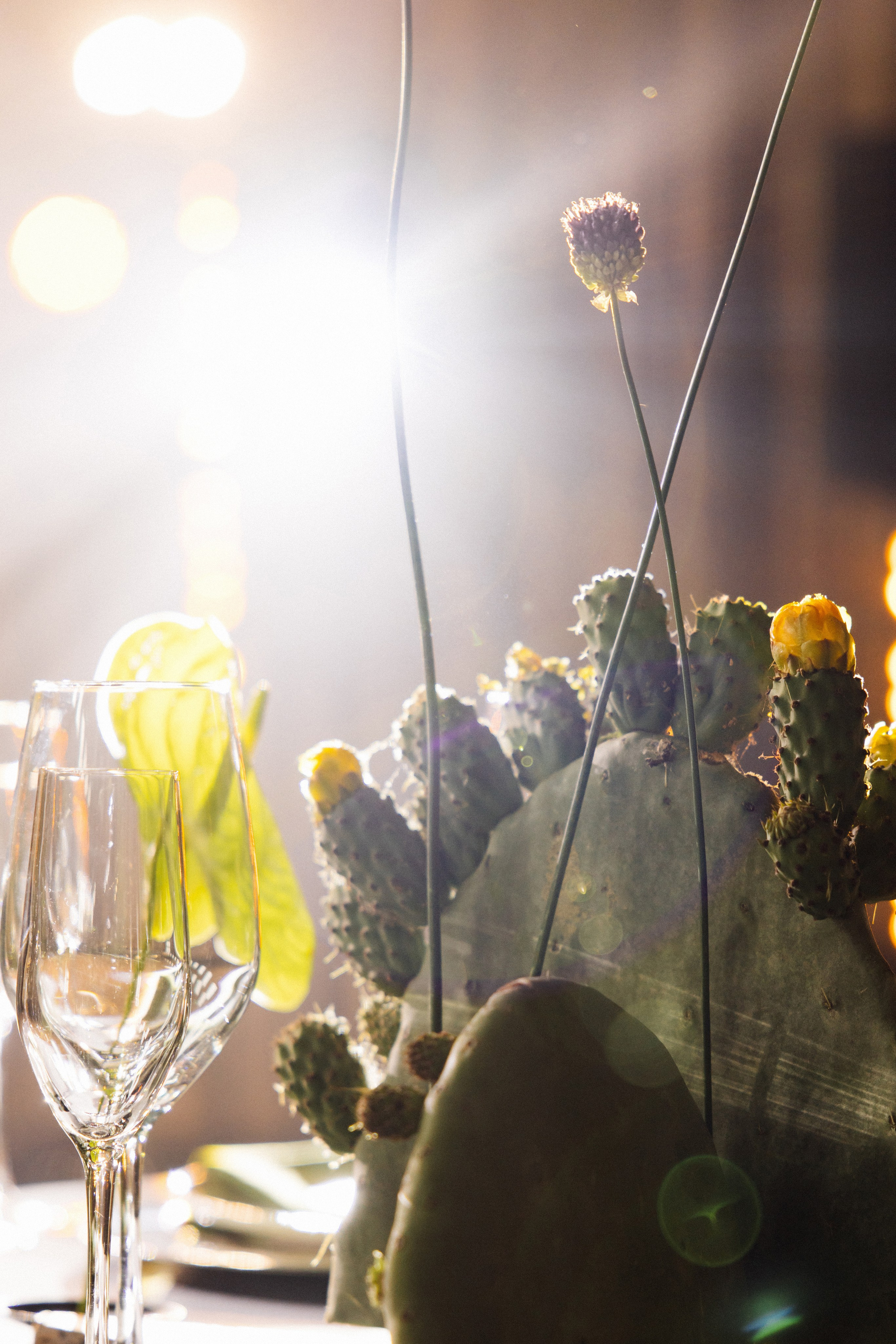 @avtors.agency. Свадебный и репортажный фотограф в Москве Владимир Сергеев | Naysaikolo