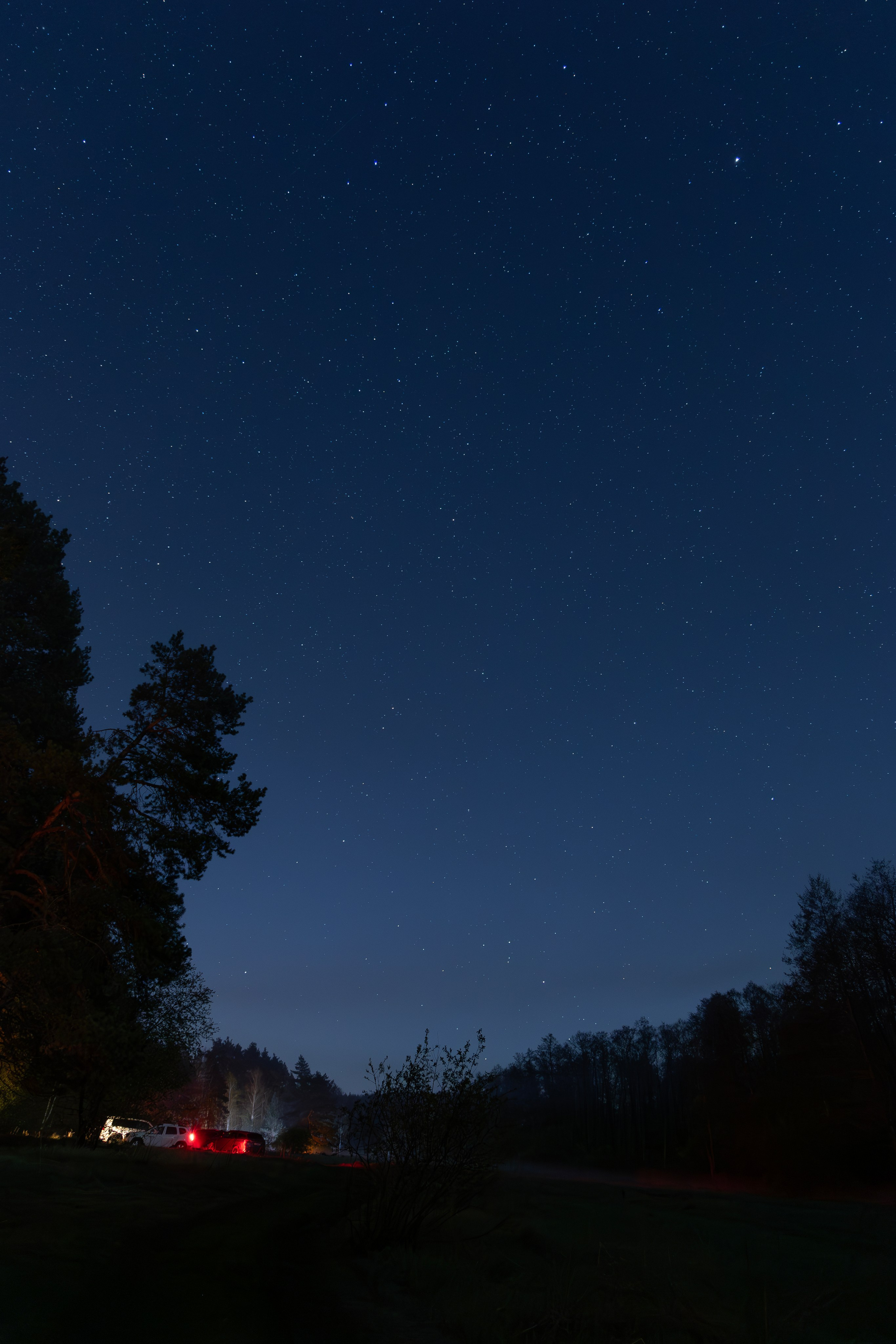 Nature. Фотограф Александр Глебов