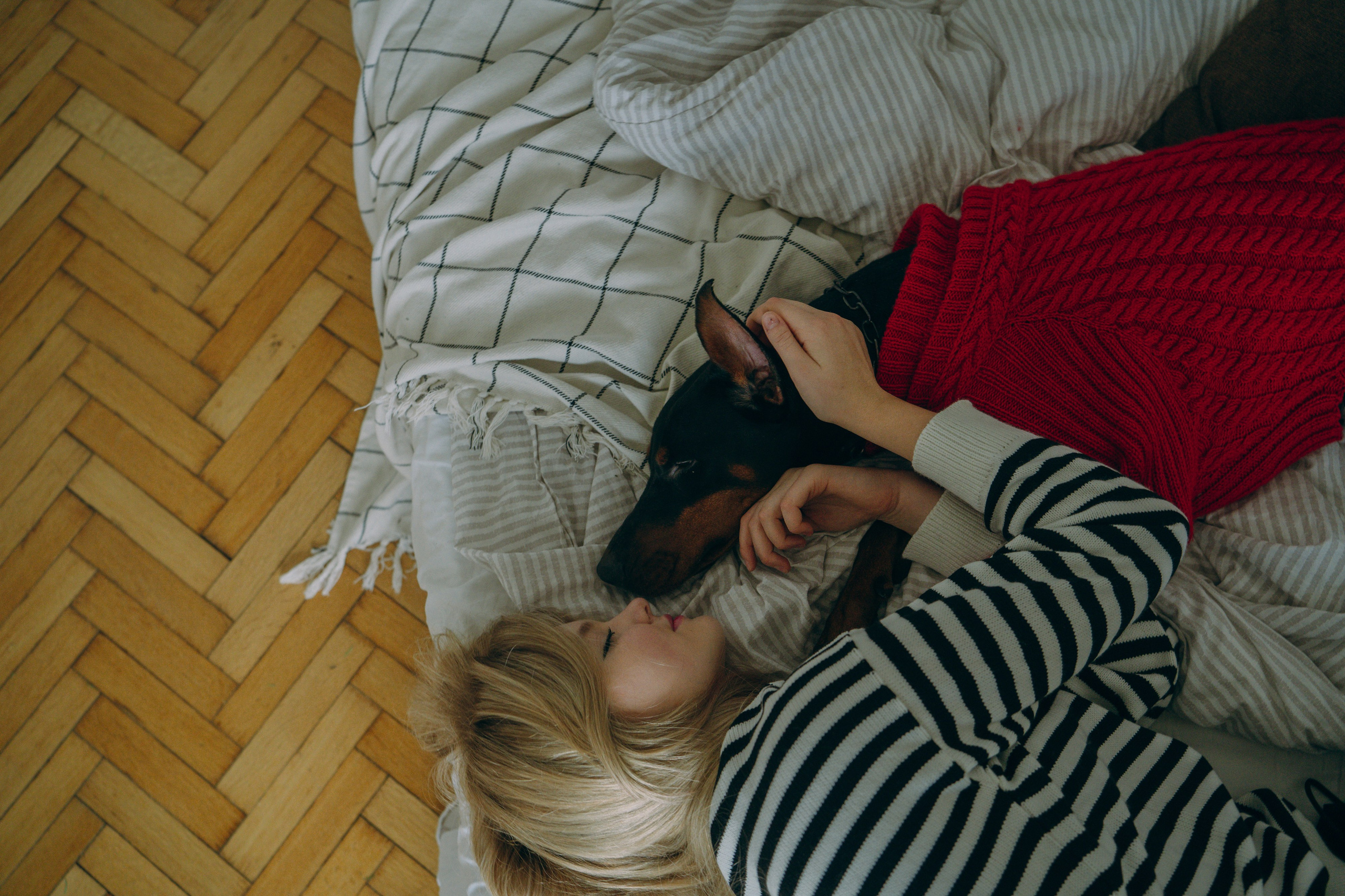 Саша и Асти. Фотограф анималист в Москве и Санкт-Петербурге Свиридова Анна