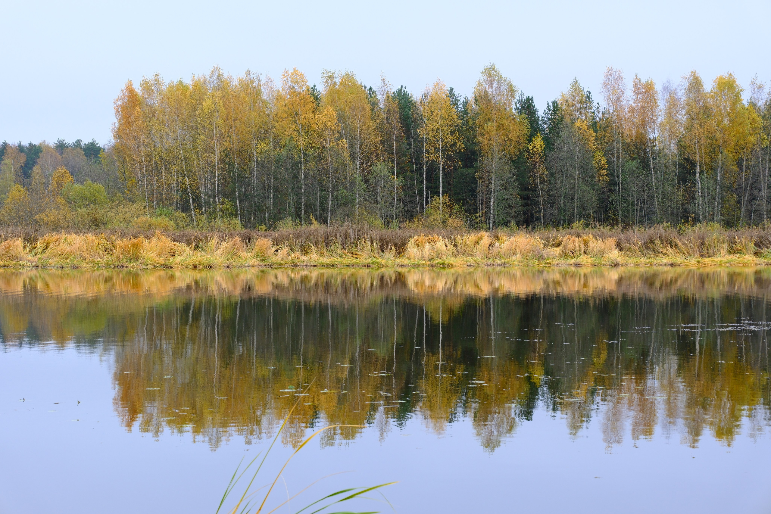 Natureplanet earth. Фотограф Валерий Овсянников