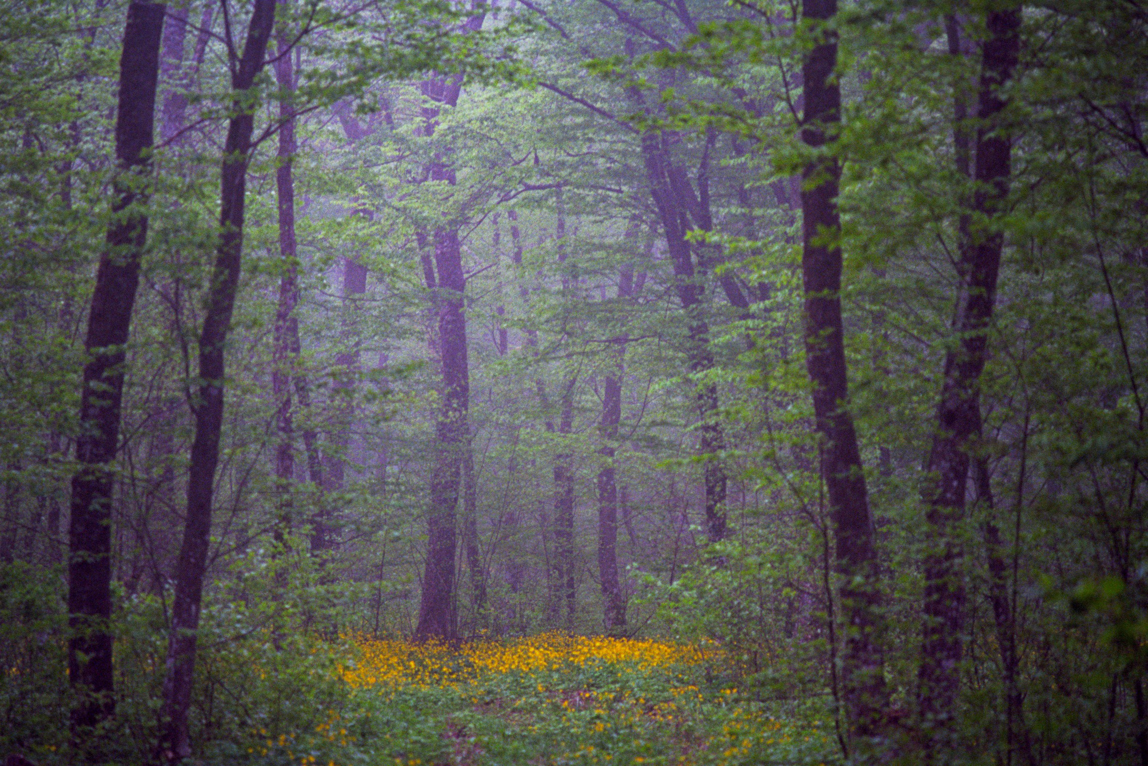 Kodak. Василий Буйлов|Vasilii Builov